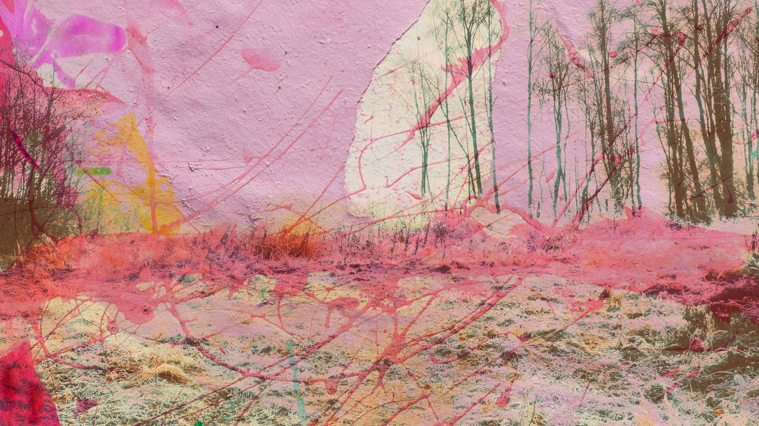 Купить. Visual artist