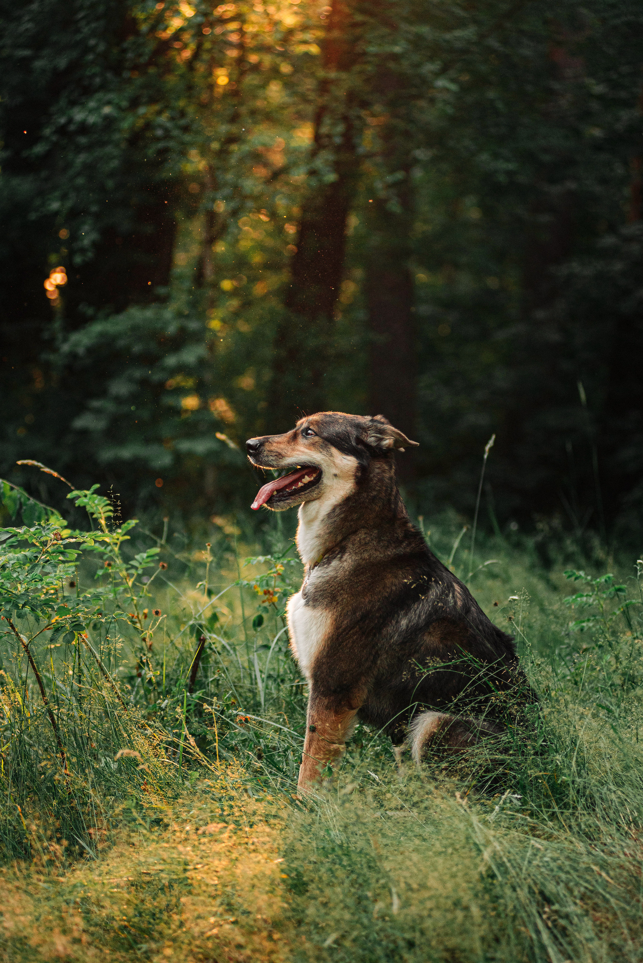 Контакты. Фотограф — анималист Саратов/Москва|Плужникова Юлия