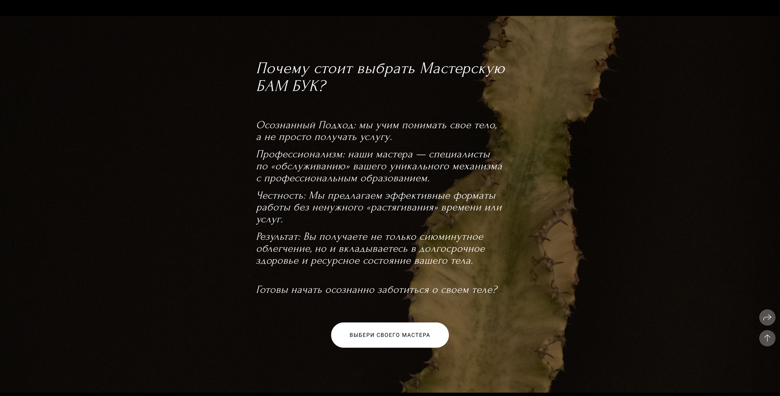 Бамбук кейс