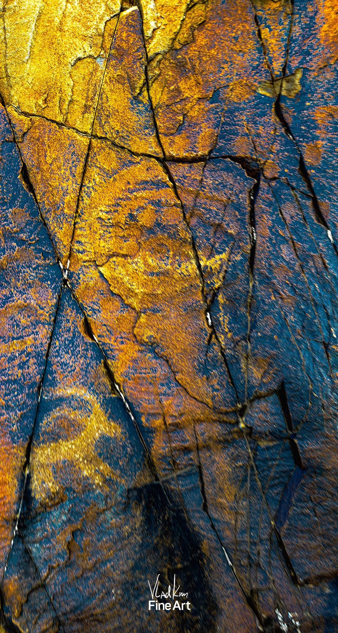 Даусы. Картины о красоте, культурных ценностях и традициях Казахстана