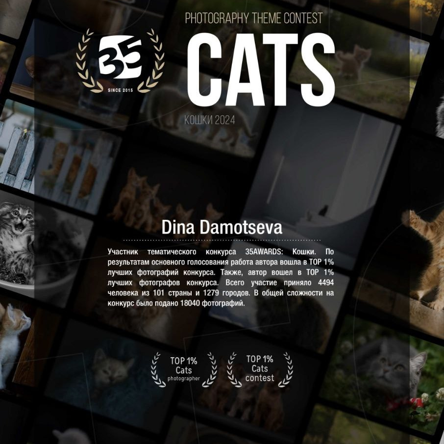 Дипломы и сертификаты. Зоофотограф, фотограф животных в Москве и области Дина Дамоцева