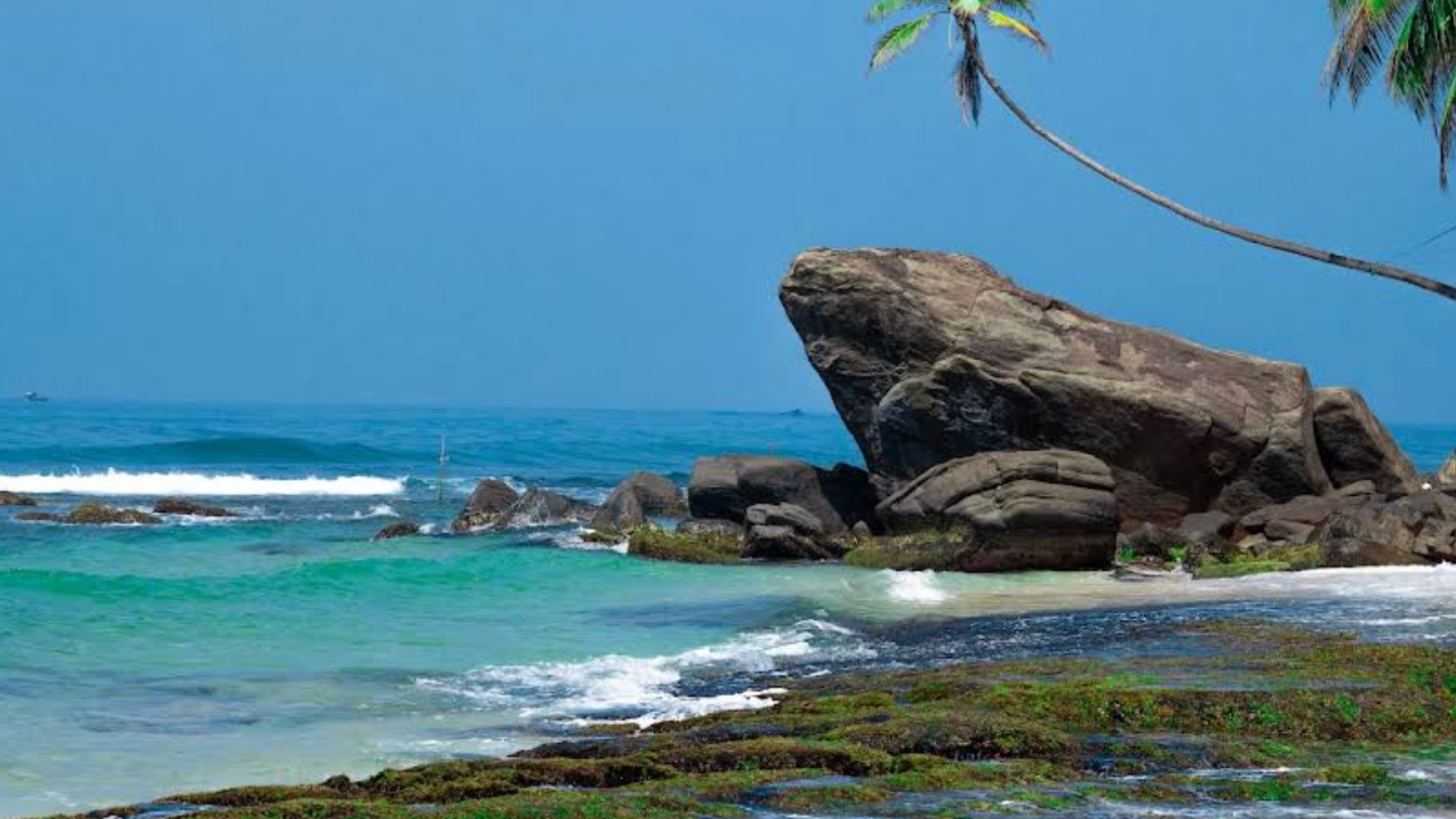 Пляжи Шри-ланки для фотосессий