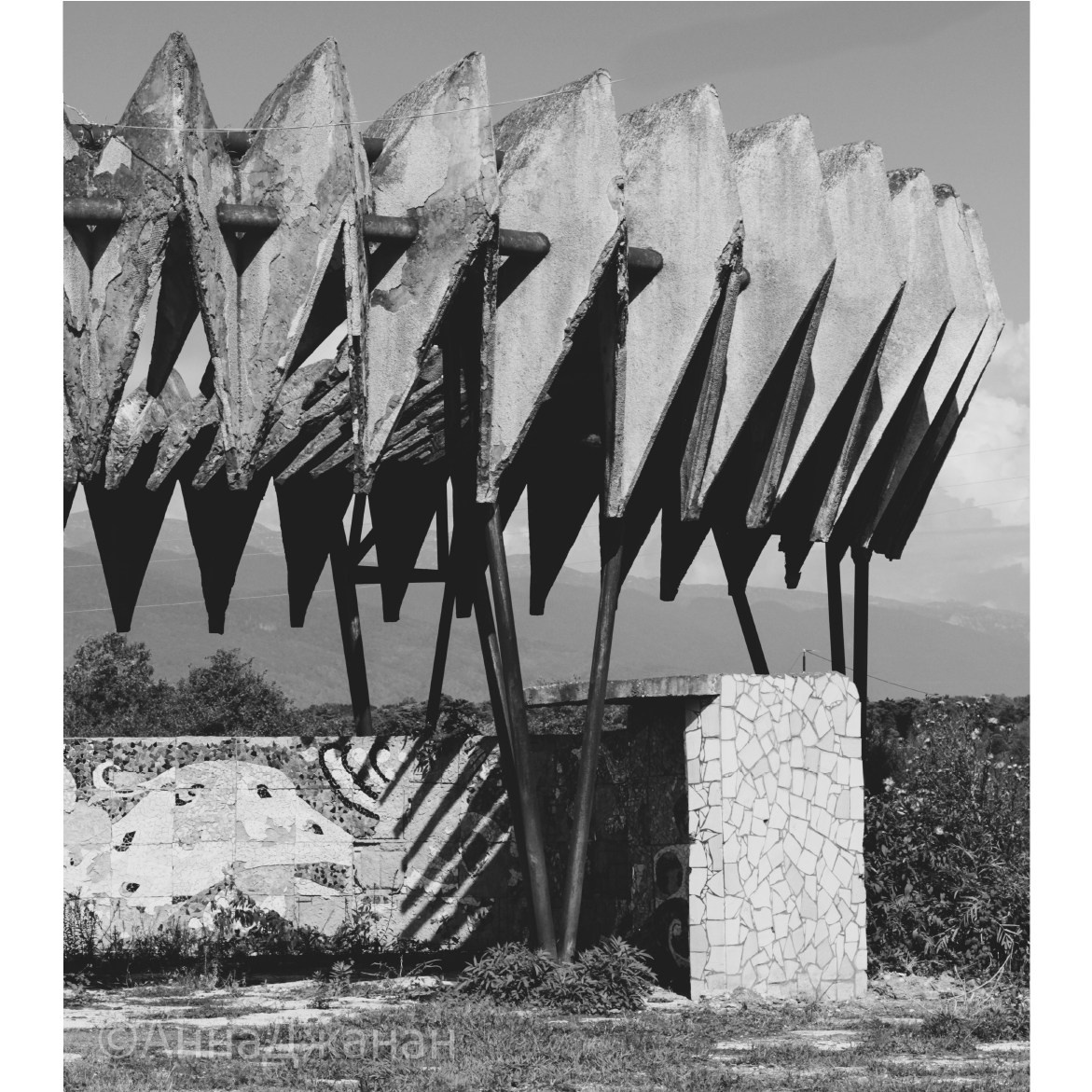 Услуги. Documentary photographer