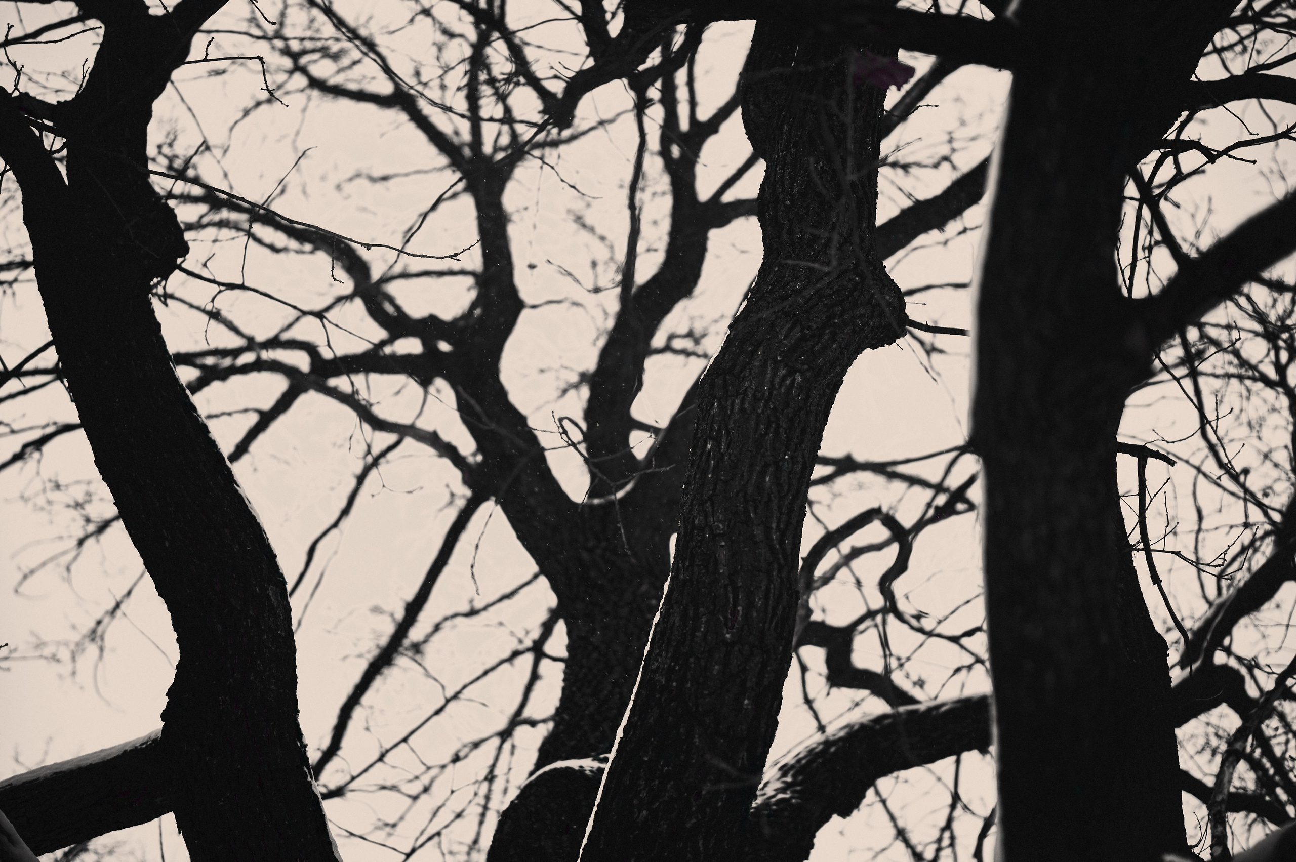 Фотопоказ «Каркас». Коммерческий фотограф в Казани Ксения Добролюбова