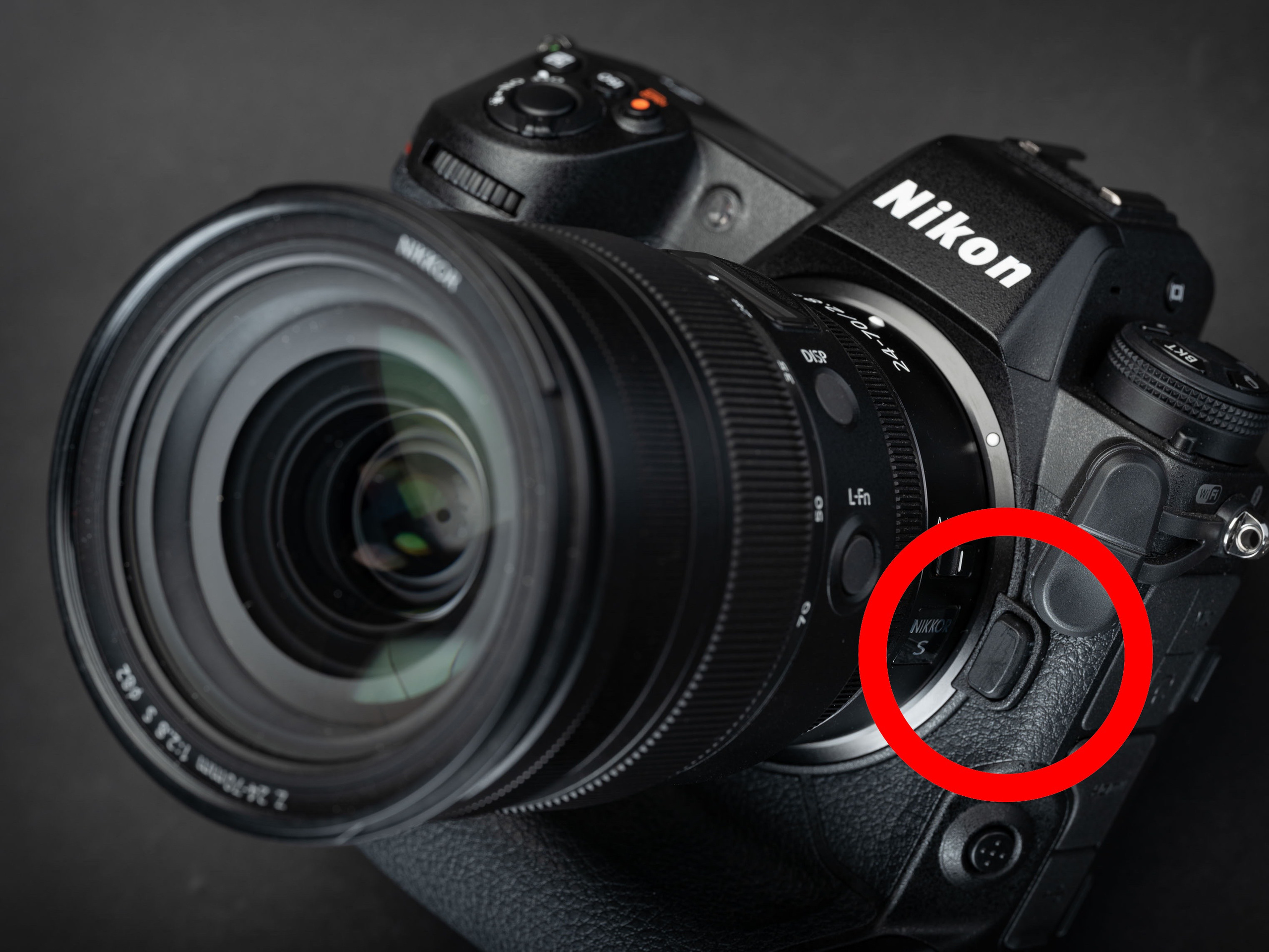 Nikon выдает «Рекомендации по техническому обслуживанию» для камер Z9. Фотограф — видеограф в Москве Дмитрий Менделеев
