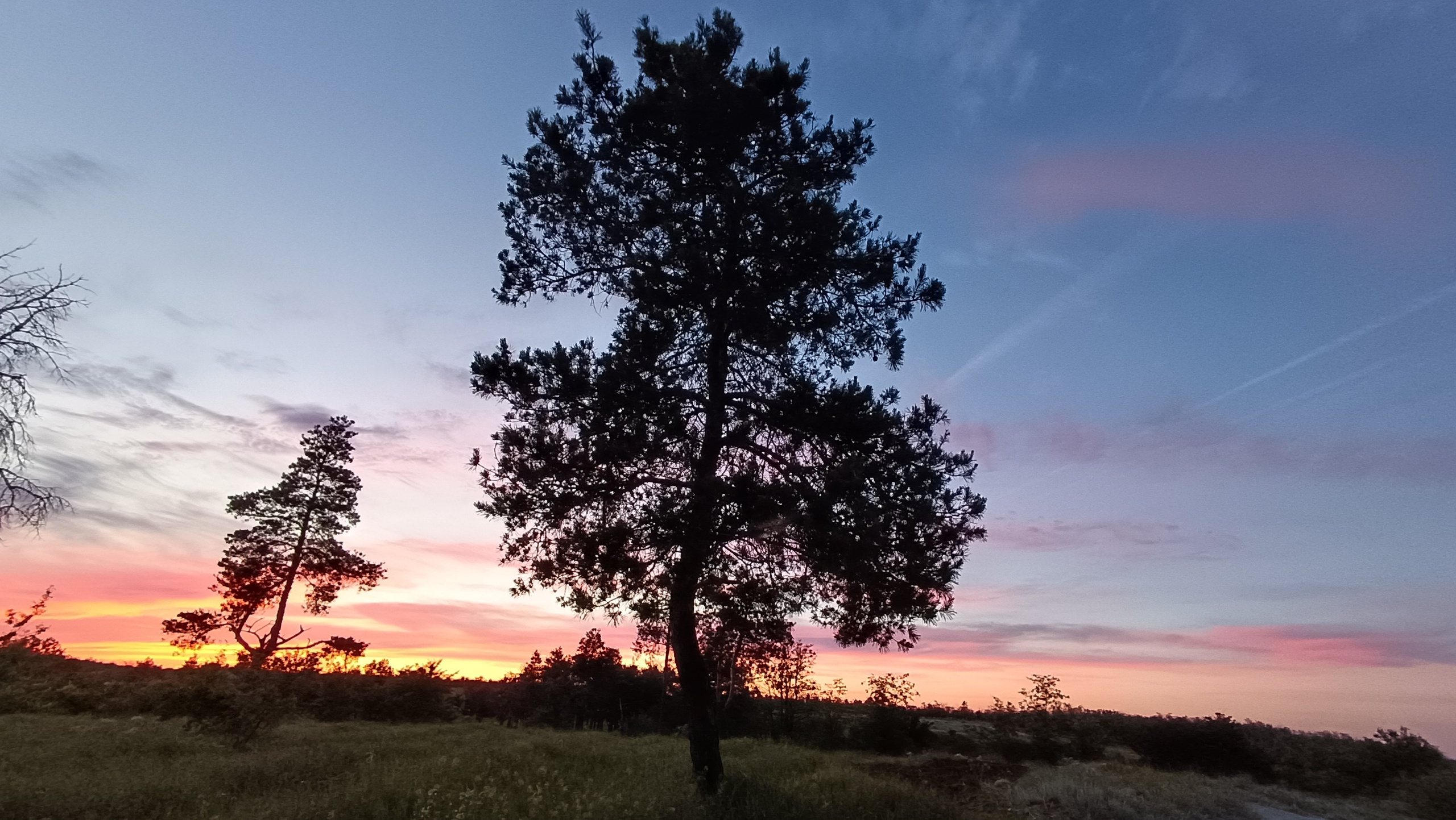 Марина Рыбкина — Глубинная психология