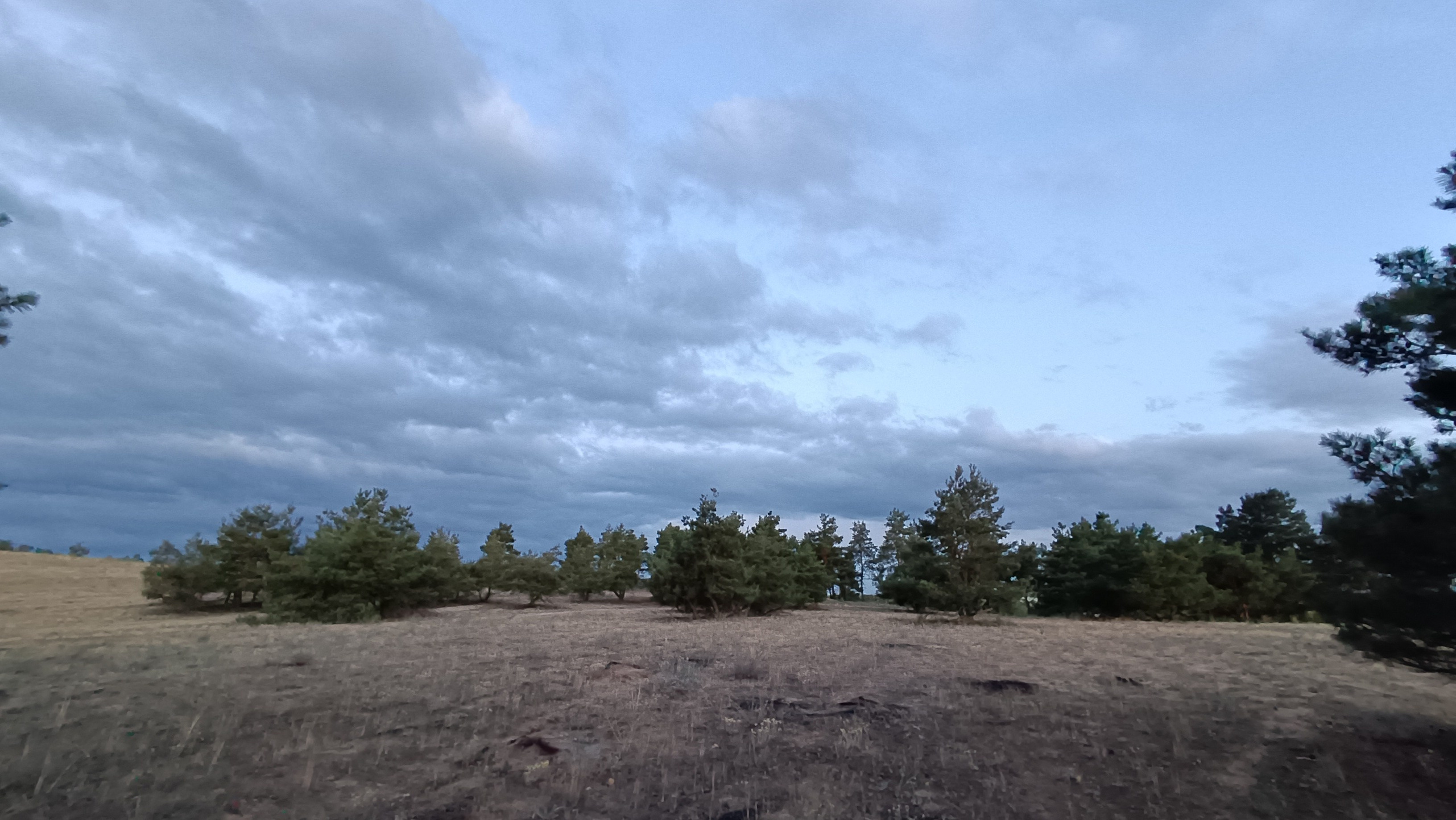 Читальный зал. Марина Рыбкина — Глубинная психология