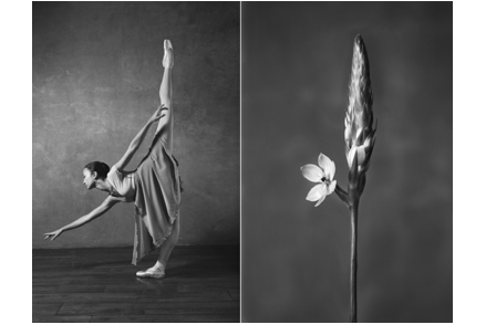 Press — CameraLabs