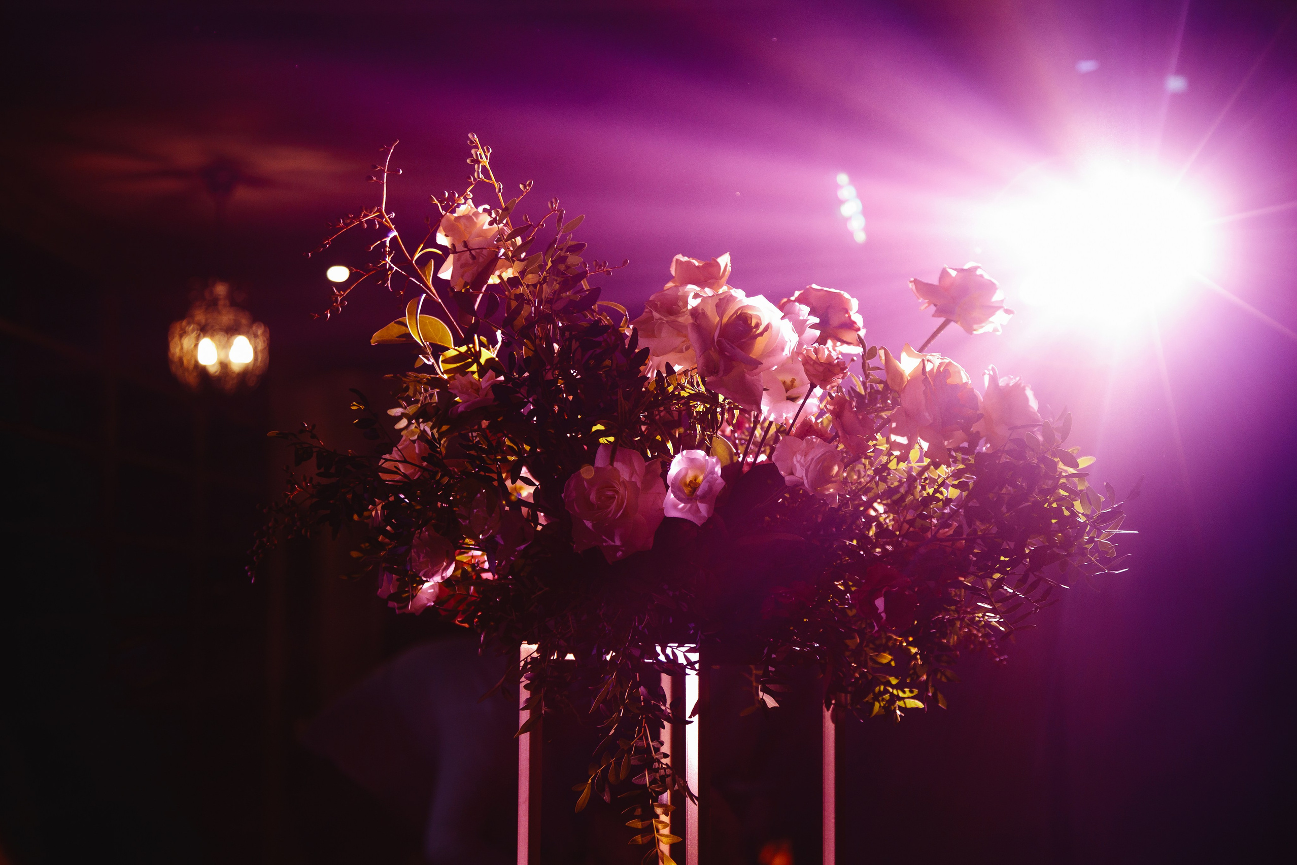 съёмка свадебного банкета, свадебный фотограф гладков дмитрий, узнать стоимость фотографа на свадьбу, примеры работ