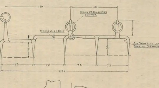 Первые альпинистки кошки