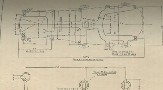 Первые альпинистки кошки