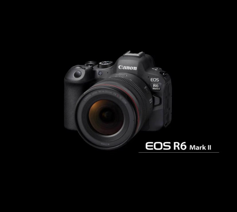 Услуги. Детский фотограф, Волгоград