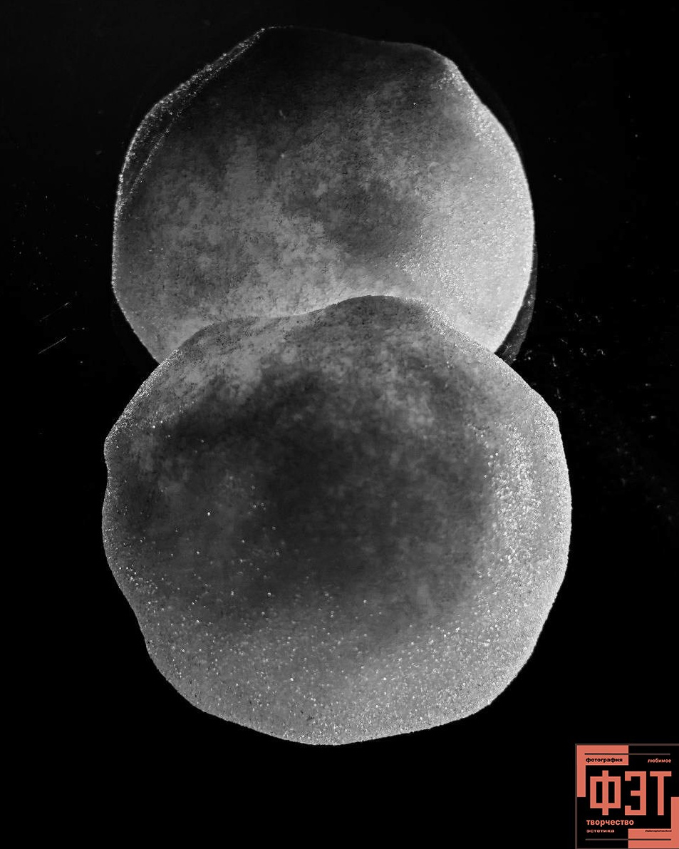 Фотопроект «ФЭТ: Фотография, Эстетика, Творчество»