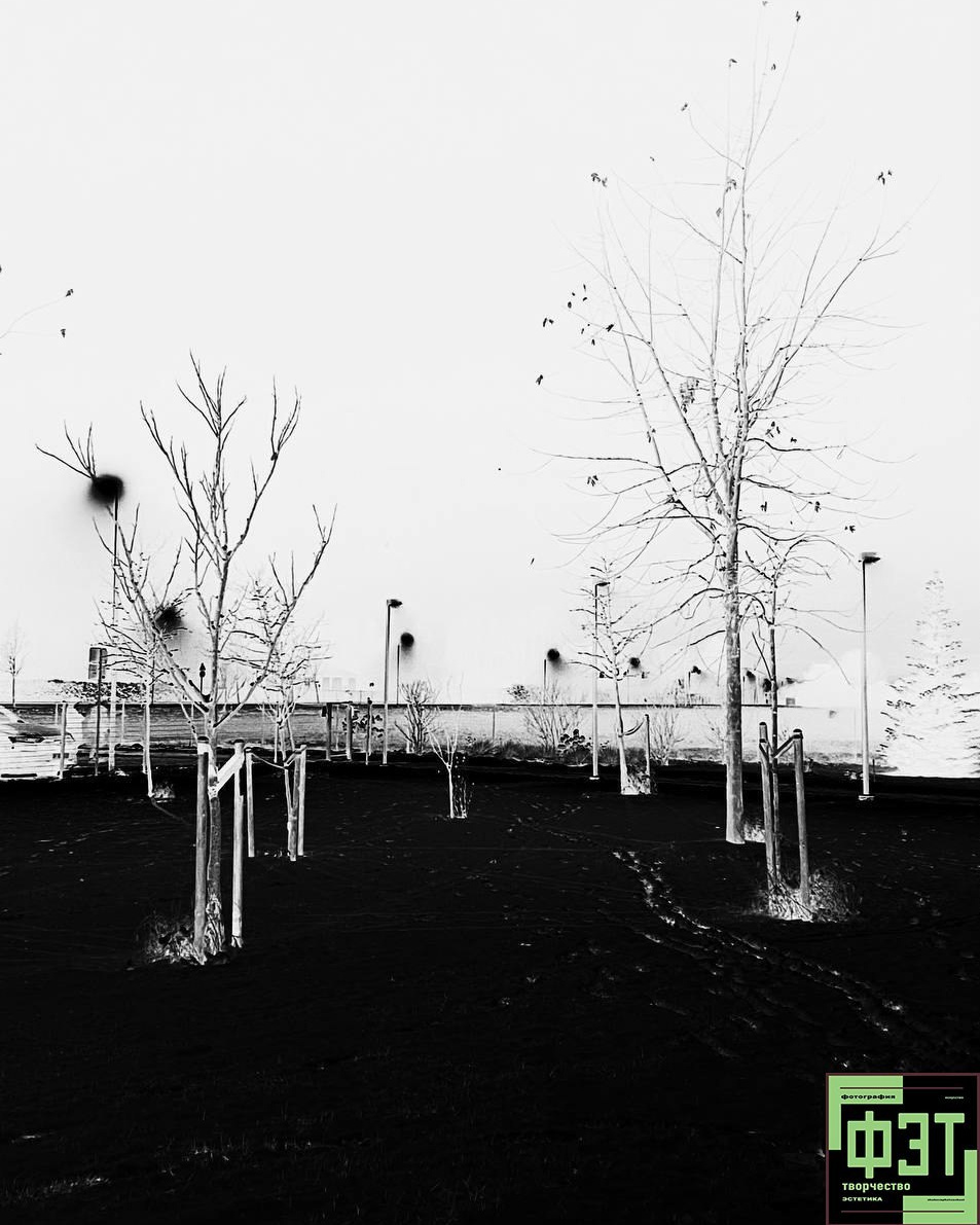 Альбом от 30.11.25 в рамках фотоконкурса ФЭТ: Фотография Эстетика Творчество