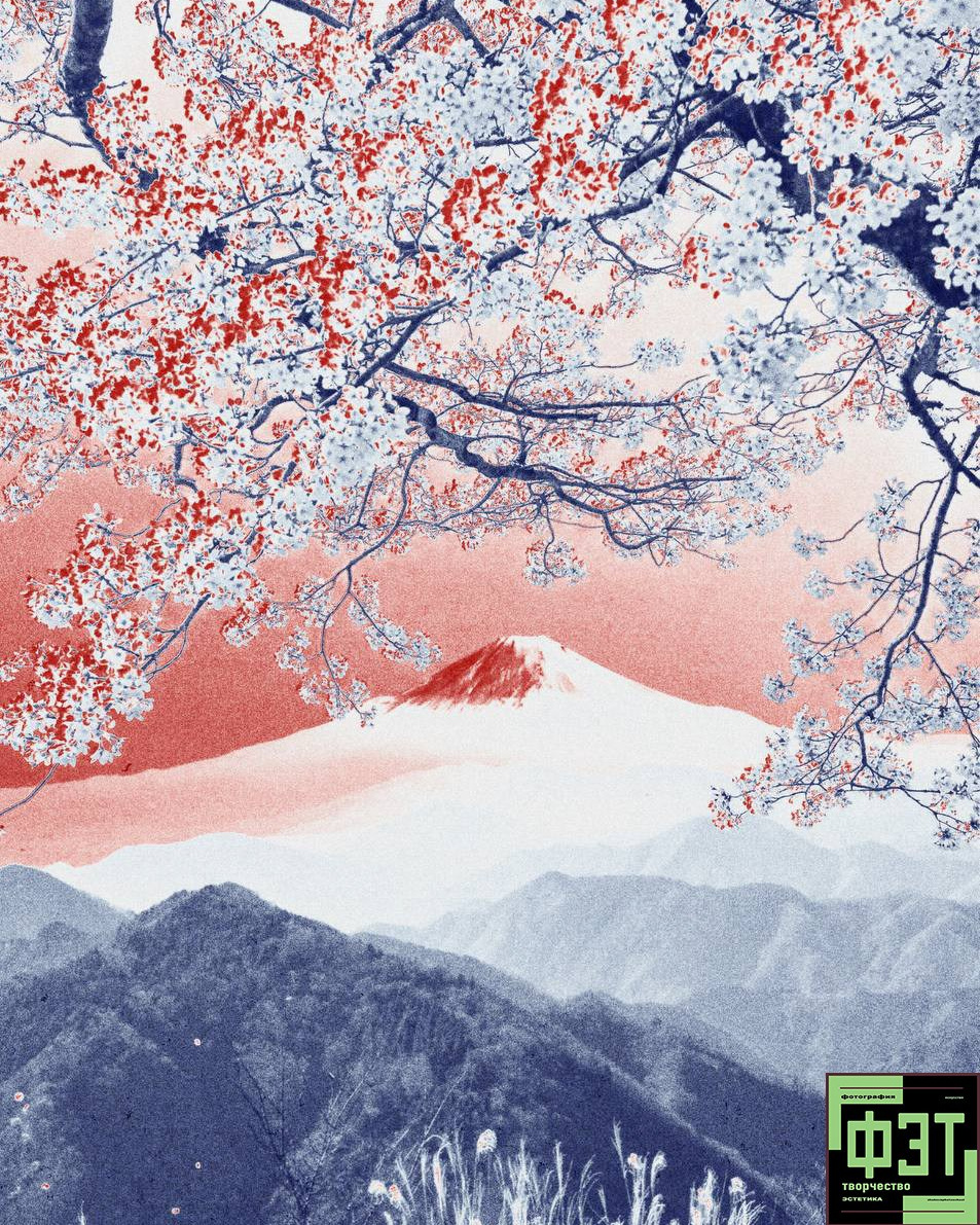 Альбом 05.04.26 в рамках проекта для фотографов ФЭТ