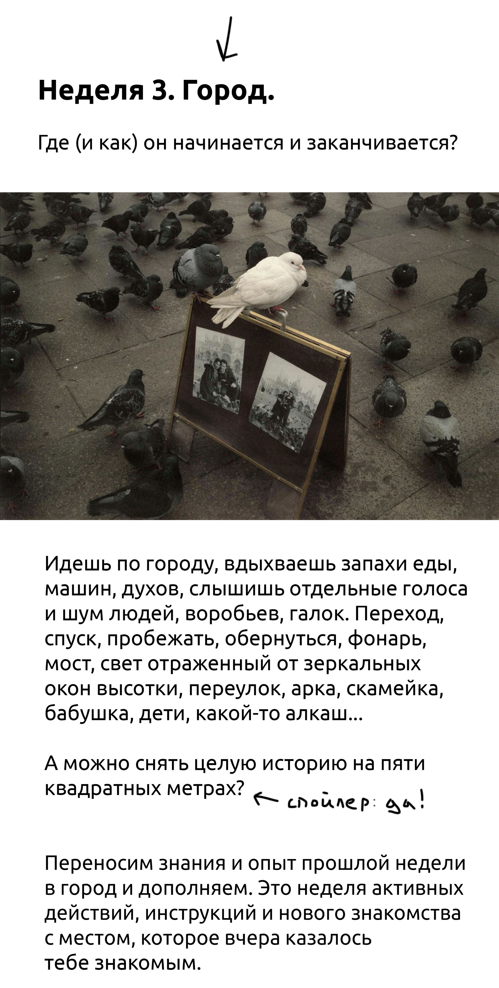 Лето!. …