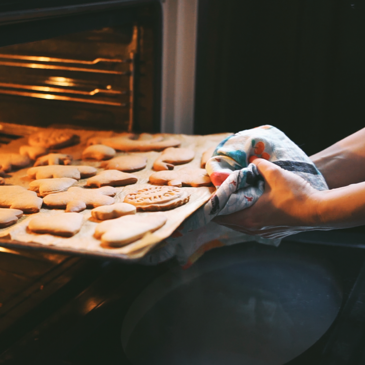 Video. Марковы: фото, видео, кино и книги