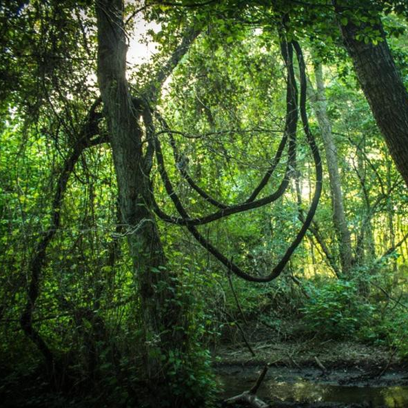 Экскурсии. AuraTour