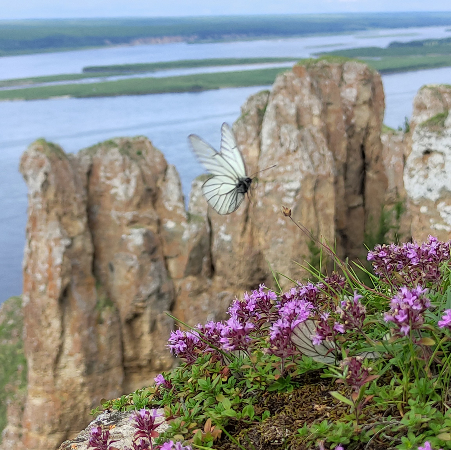 Контакты. Фотограф-путешественник Самойлов Максим «Sly Fox»