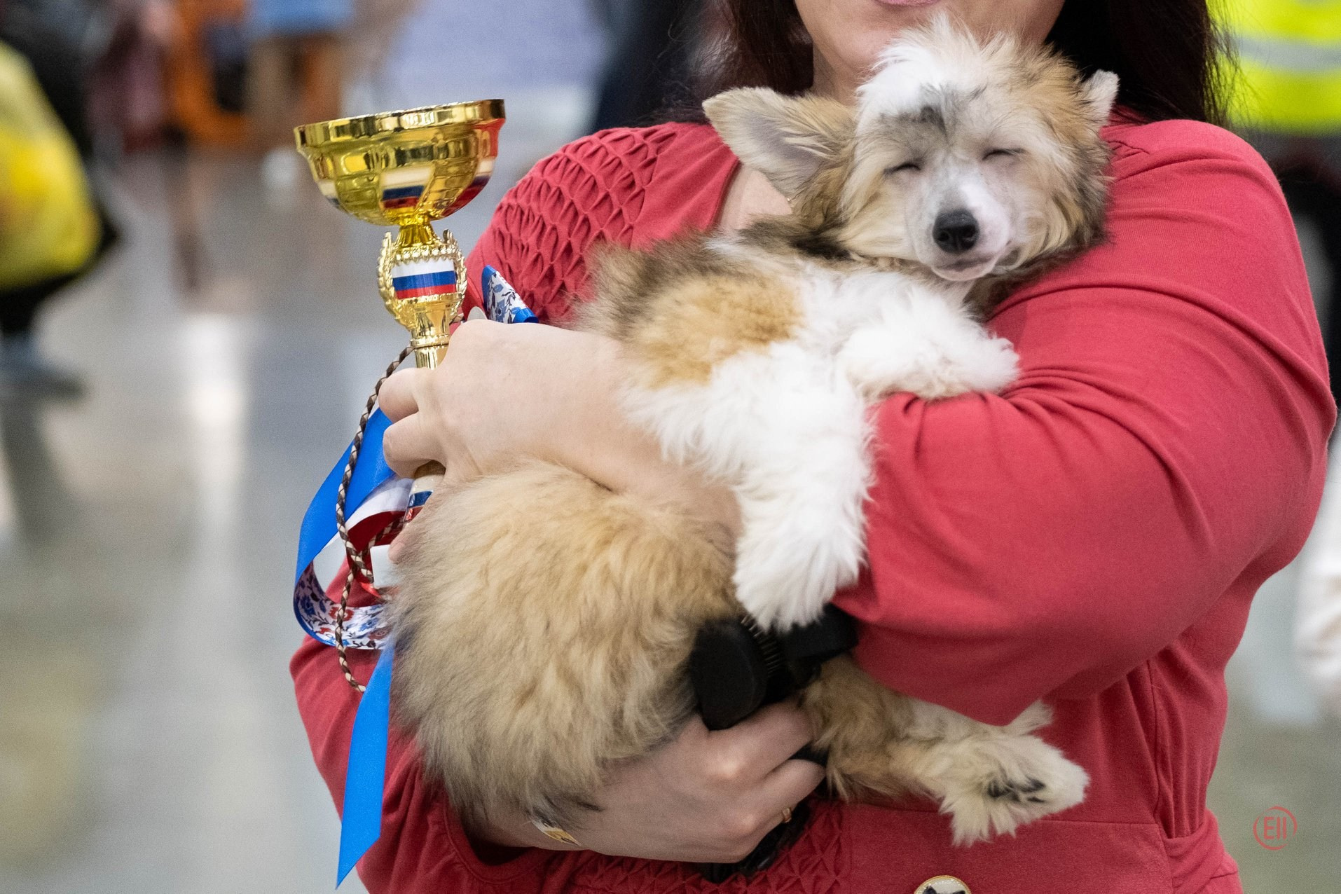 Лучшее место в жизни - руки мамы.