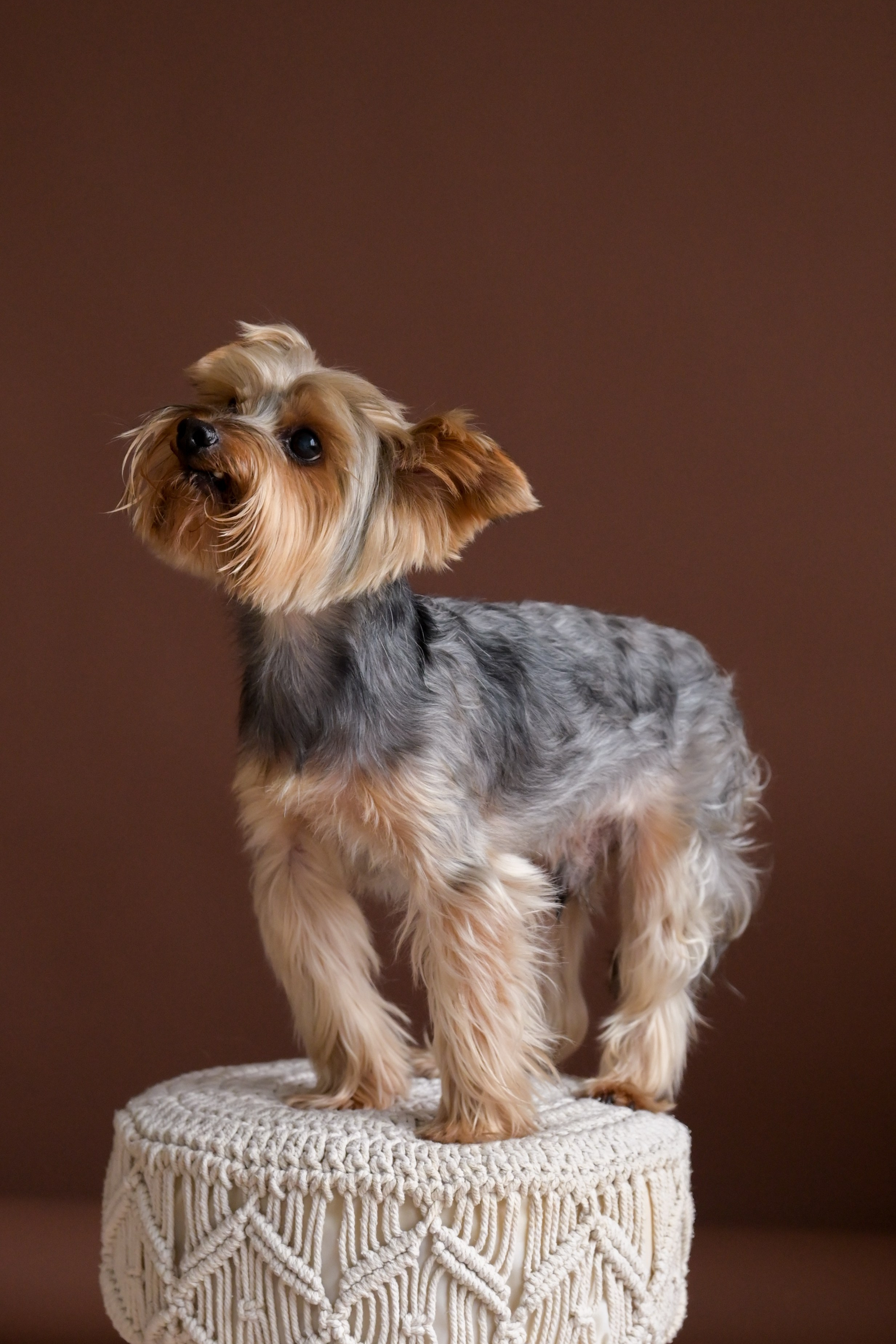 Наталия Моргунова. Фотограф в Королеве и Москве