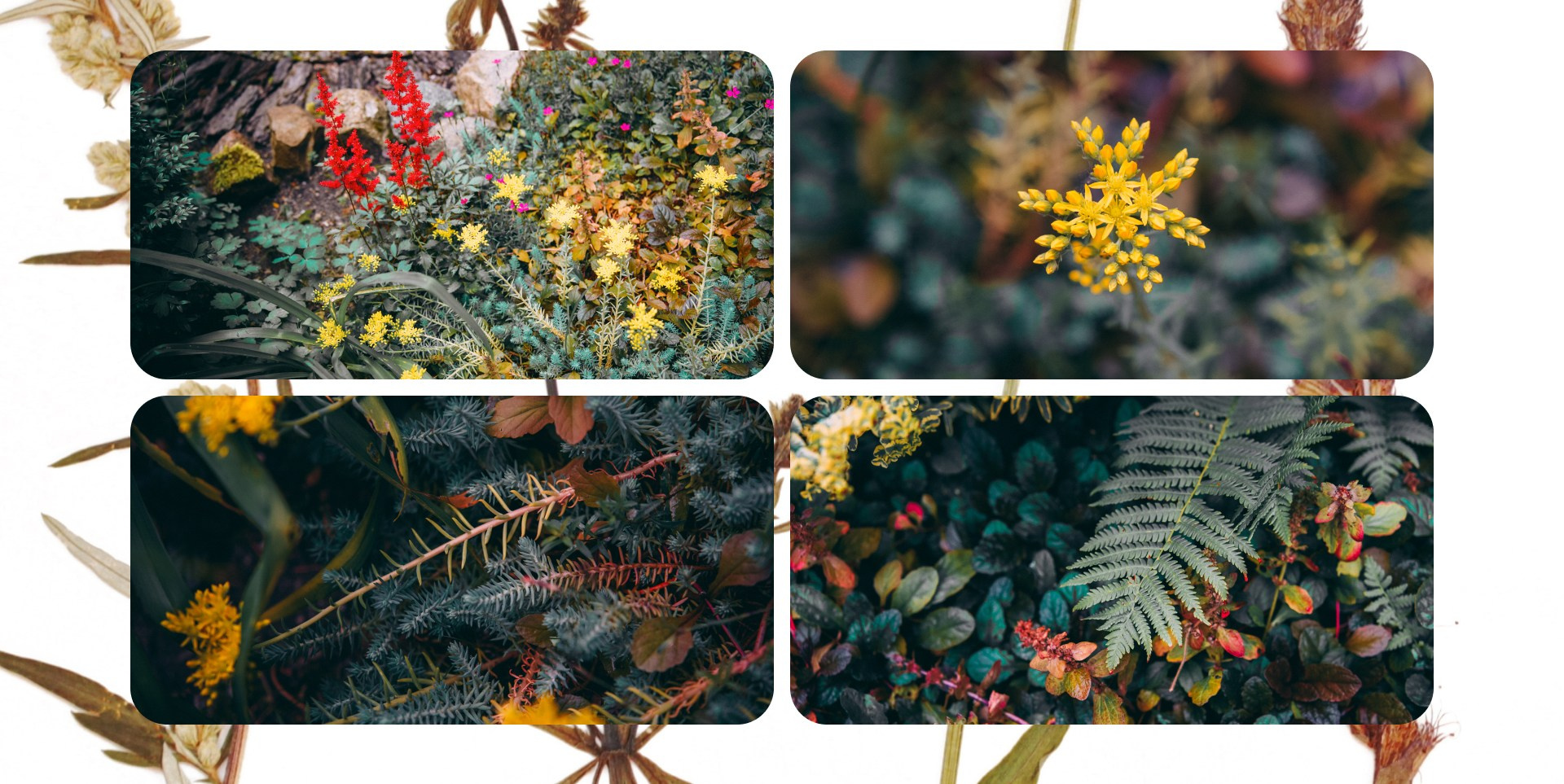 Калининград 3. Фотограф из Москвы — DASHA NOVA | Авторская фотография в разных жанрах