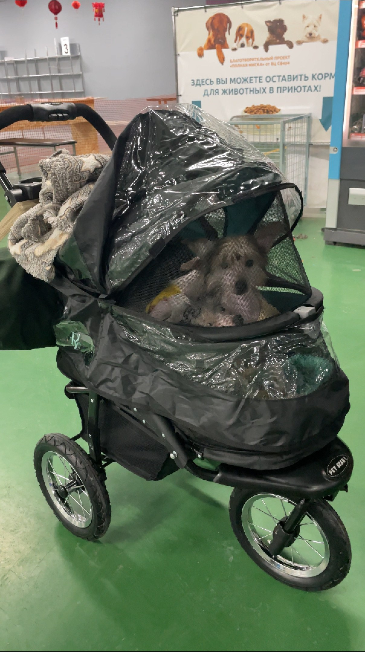 Коляска для собак. Pet Gear No-Zip Skyline. Питомник китайских хохлатых собак Poale Ell: купить щенка