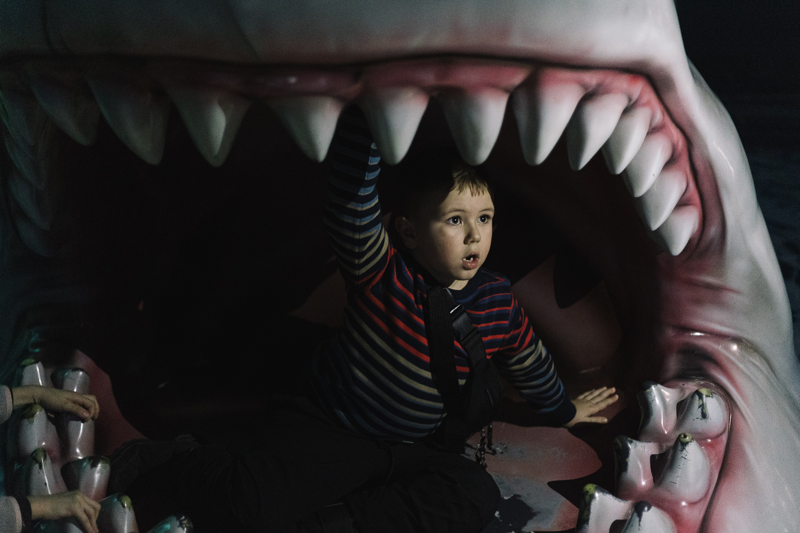 Как мы ездили в океанариум. Галина Шарапова Детский и семейный фотограф Москва