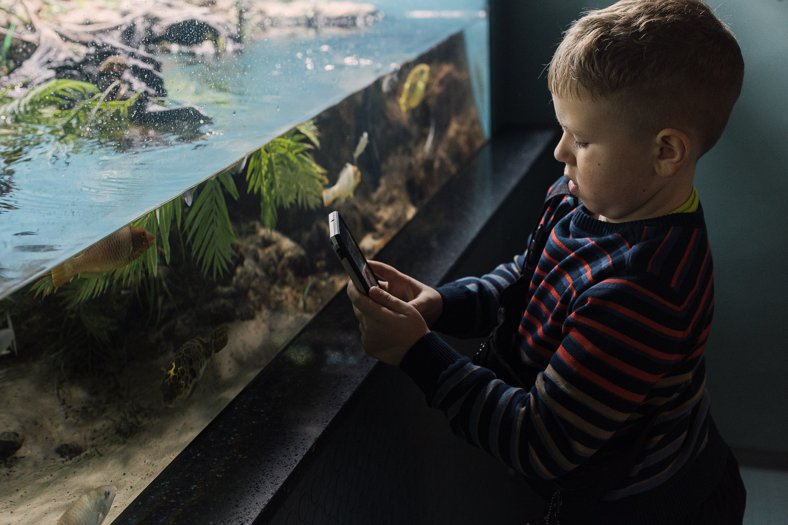Как мы ездили в океанариум. Галина Шарапова Детский и семейный фотограф Москва