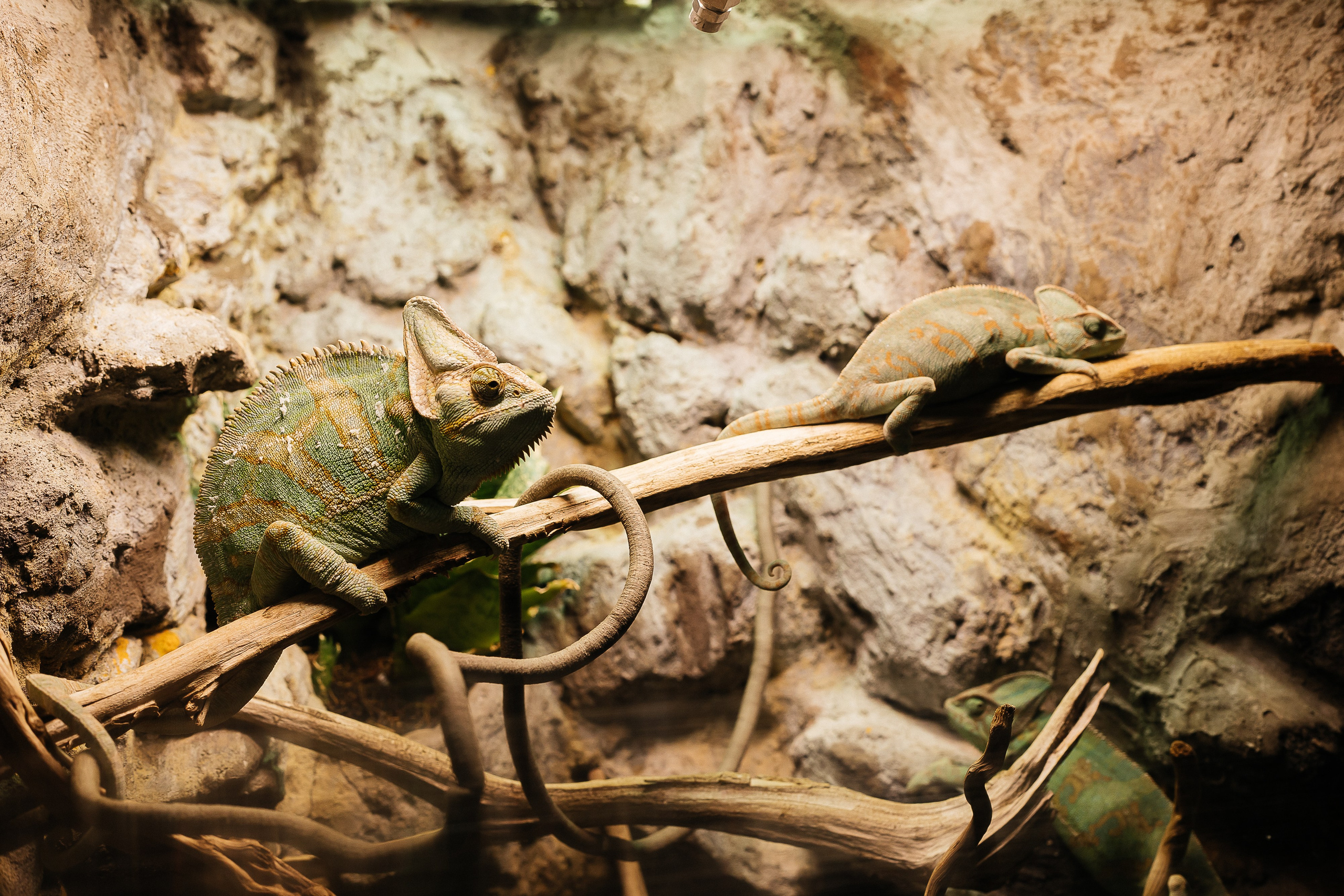 Как мы ездили в океанариум. Галина Шарапова Детский и семейный фотограф Москва