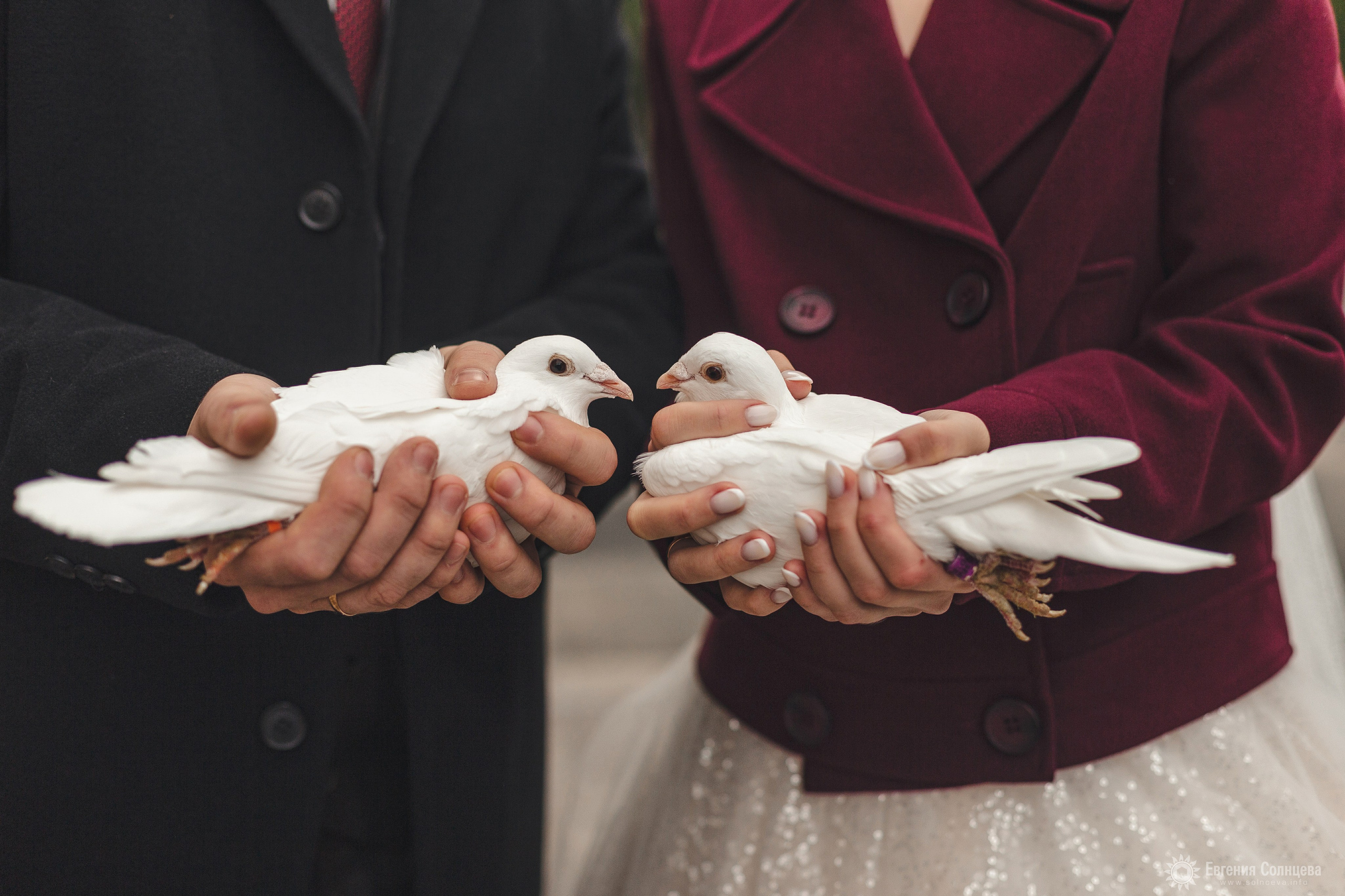 Фотографирую таинство венчания. Фотограф в Санкт-Петербурге, — Евгения Солнцева