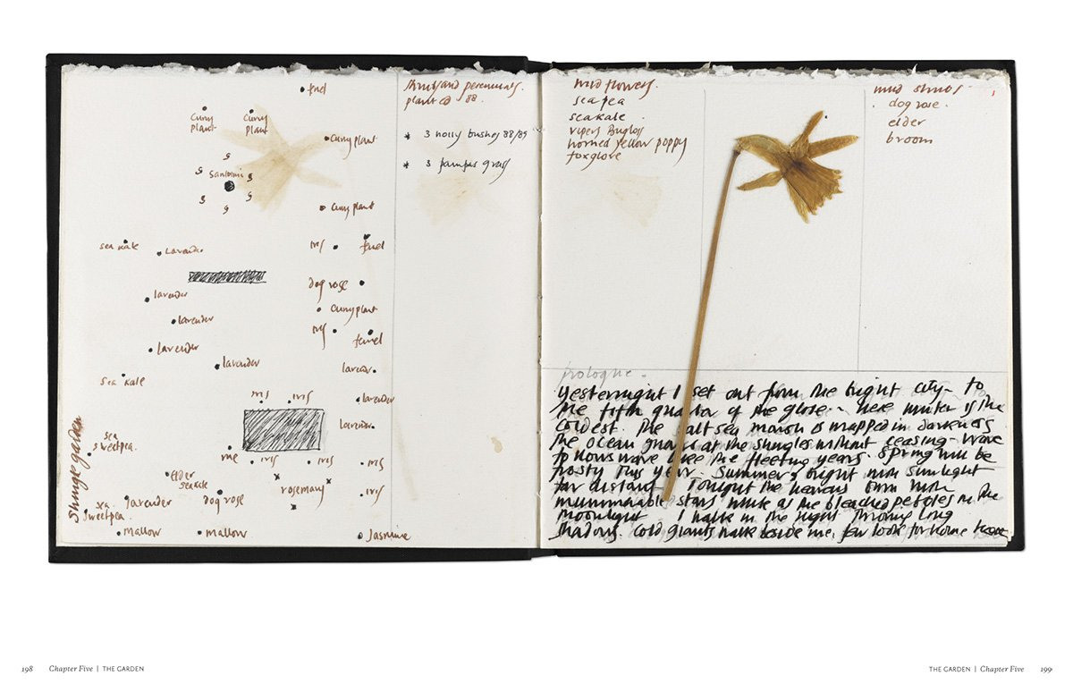 Diary. Private image