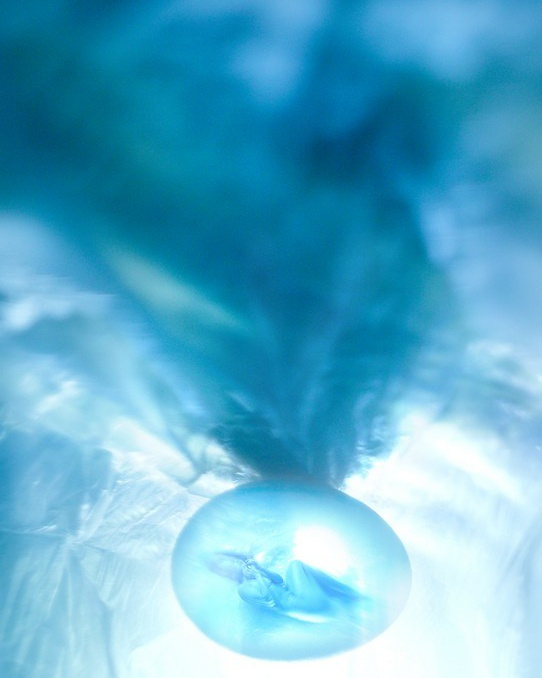 OVO. EKATERINA SHAFIEVA — INTERNATIONAL VISUAL ARTIST