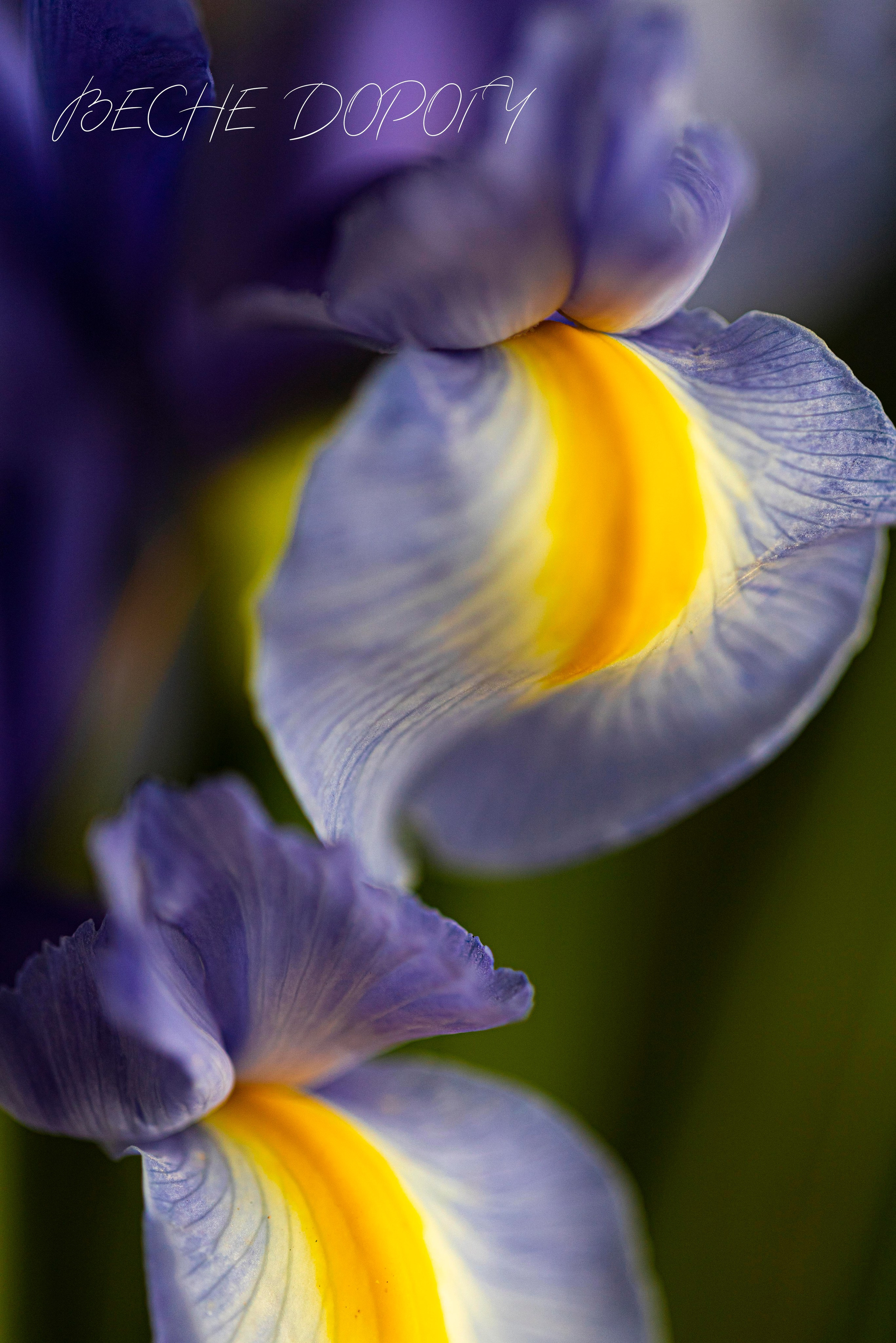 Обои для телефона. Видеооператор, фотограф в Санкт-Петербурге