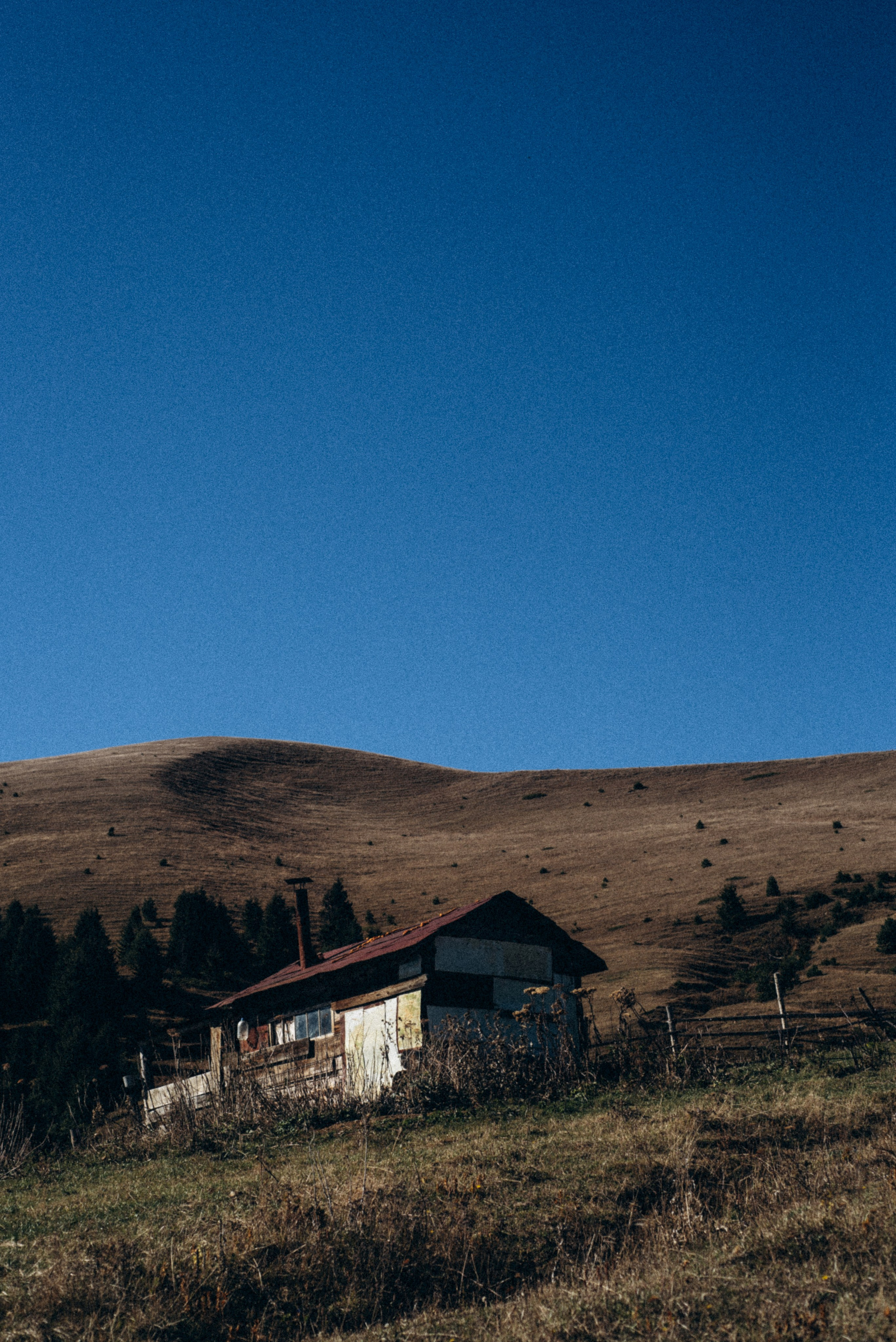 Боржоми, Грузия 🇬🇪. Anita_photo