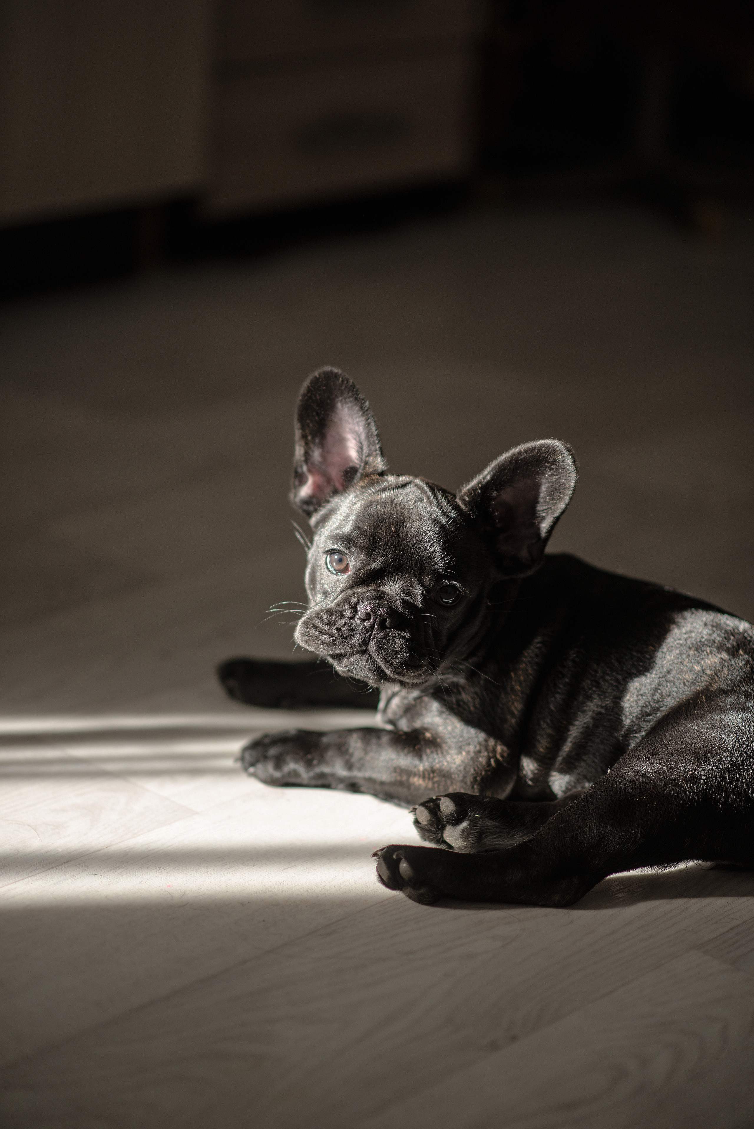 Обо мне. Ваш личный фотограф в Пскове Анаис Рамирез
