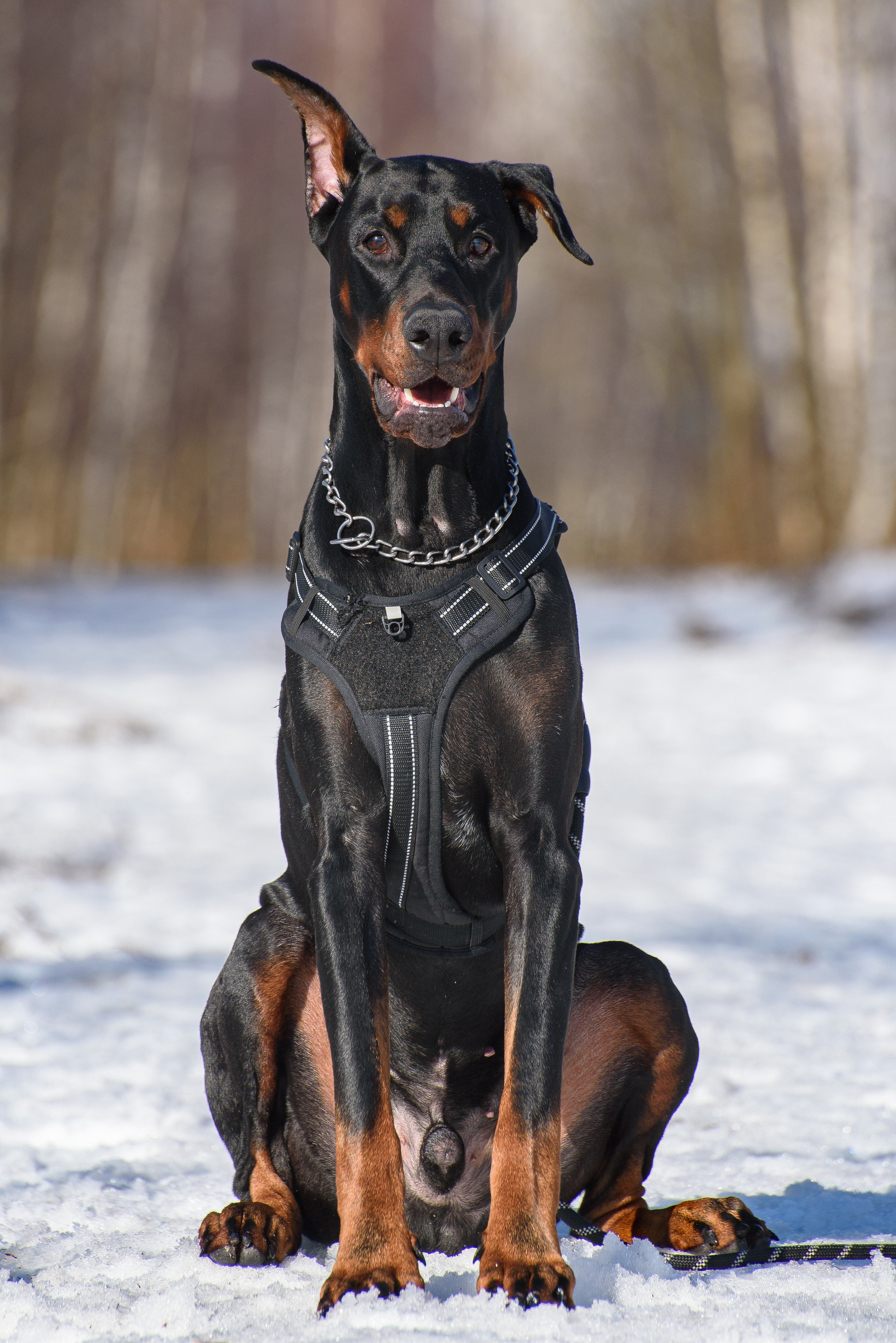Стоимость услуг фотографа в Нижнем Новгороде. Фотограф Макс Огурцов в Нижнем Новгороде