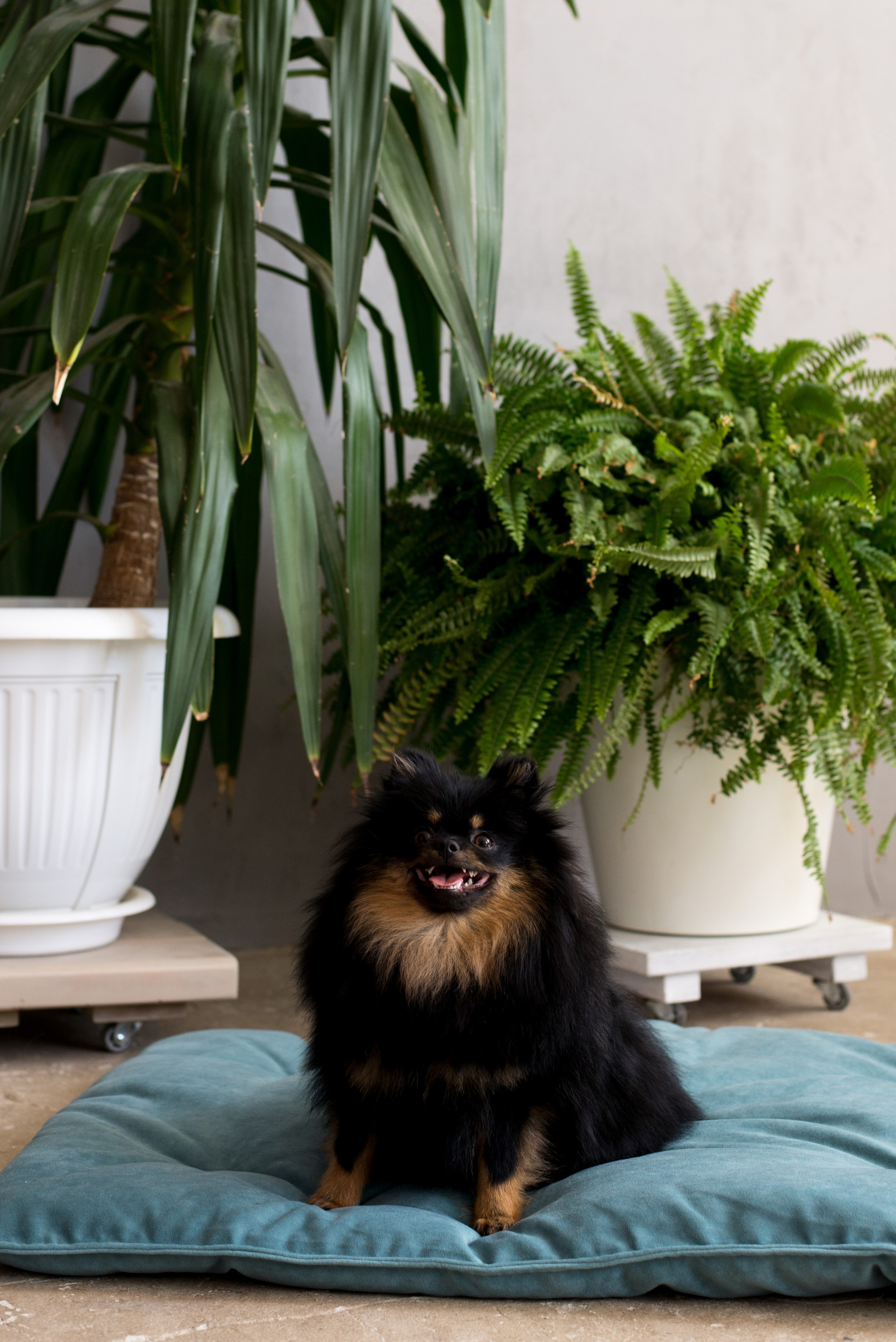 Съемка для маркетплейсов в Кирове. Кирилл Бутлович фуд фотограф, Киров