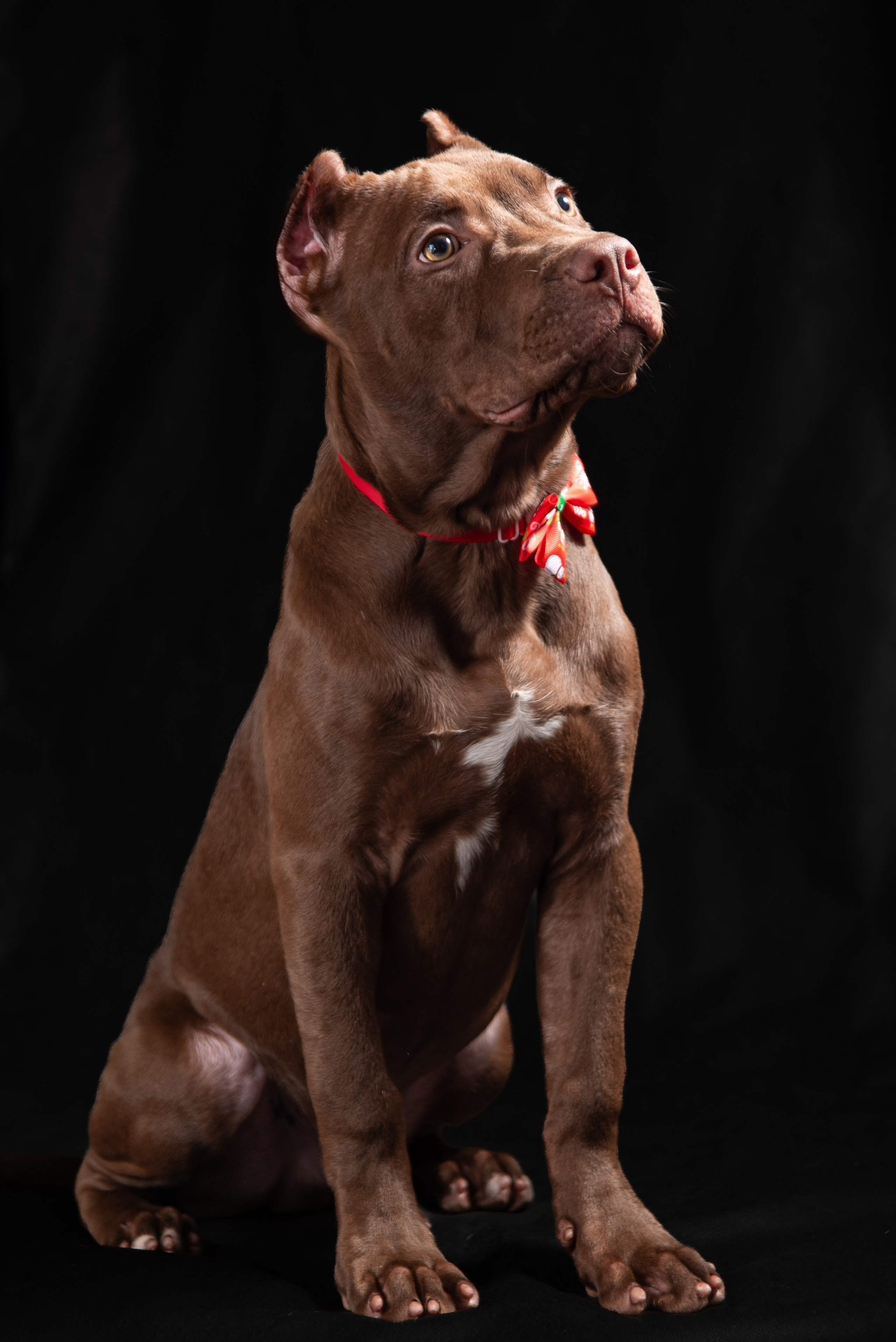 Фотограф Макс Огурцов в Нижнем Новгороде