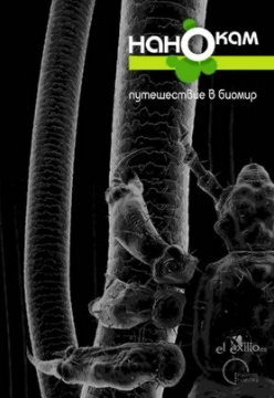 Фильмы для школы: Естествознание. Выездные Мероприятия в Екатеринбурге