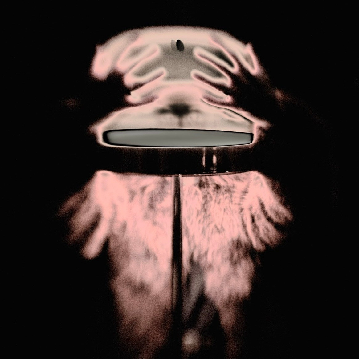 CONTACTS. International visual artist