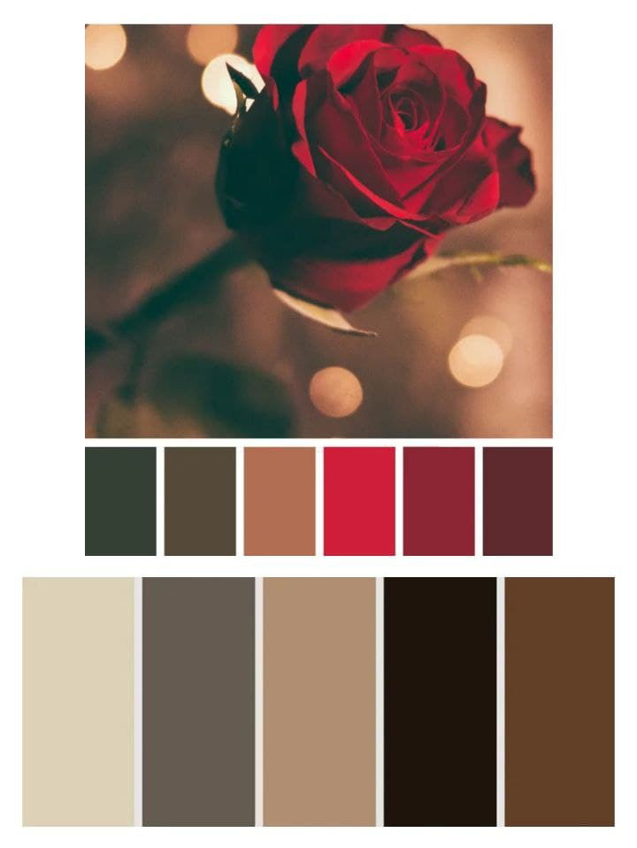 Локации New Year. Лана Абрамян-Фотограф новорожденных и беременных в Новороссийске Анапе