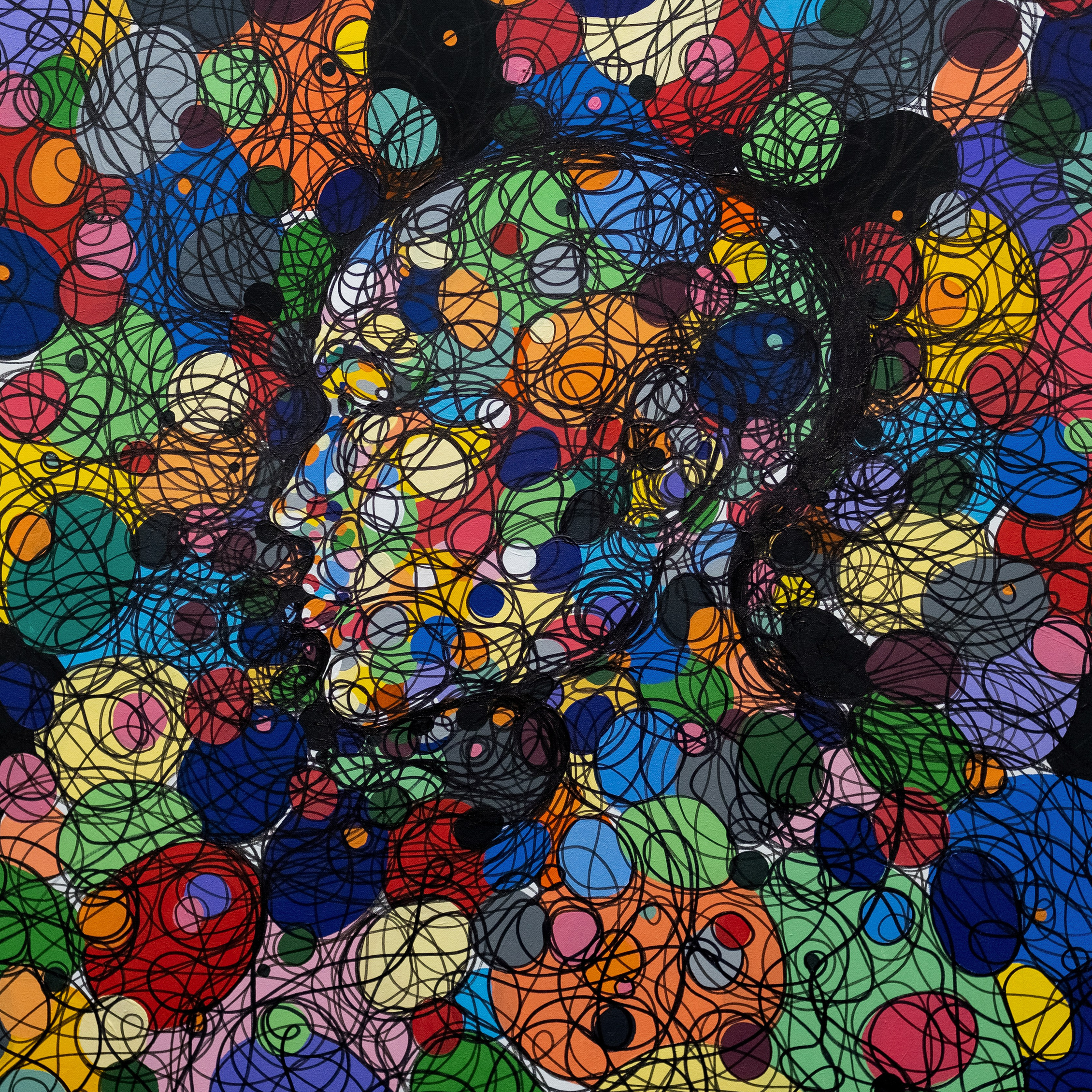 КАРТИНЫ. ANNSENSUS