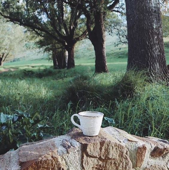 Клуб Гермион