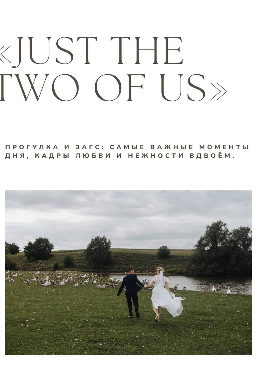 Услуги. Фотограф Брянск