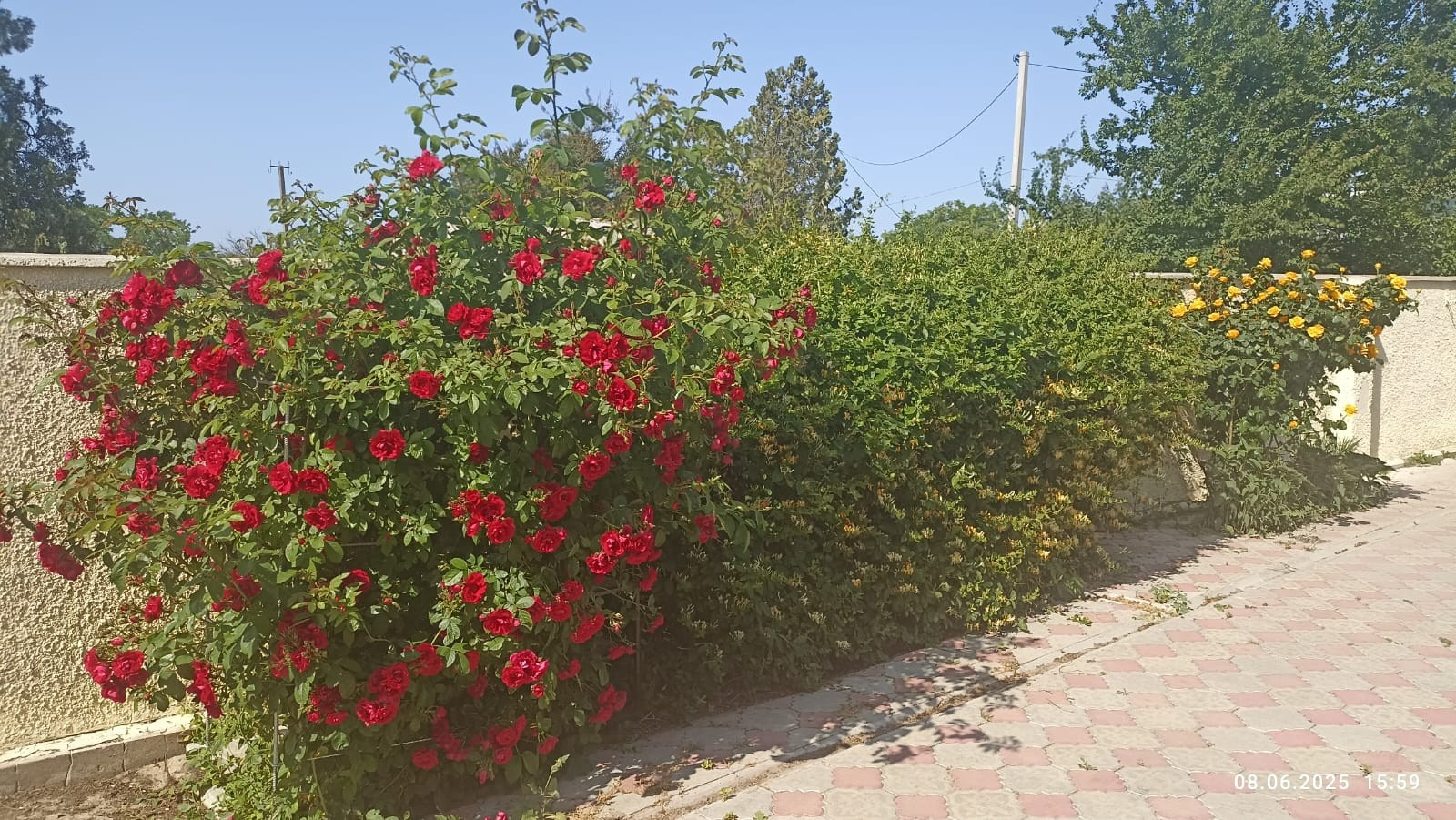 Услуги. Гостевой дом «Райский уголок»