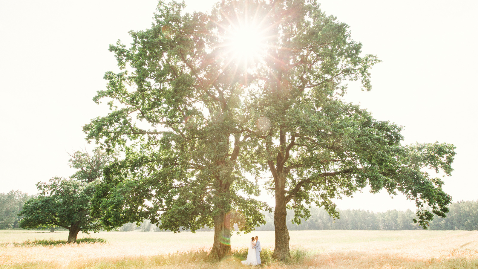 Часто задаваемые вопросы (FAQ). Профессиональный свадебный фотограф в Минске Антон Кузнецов