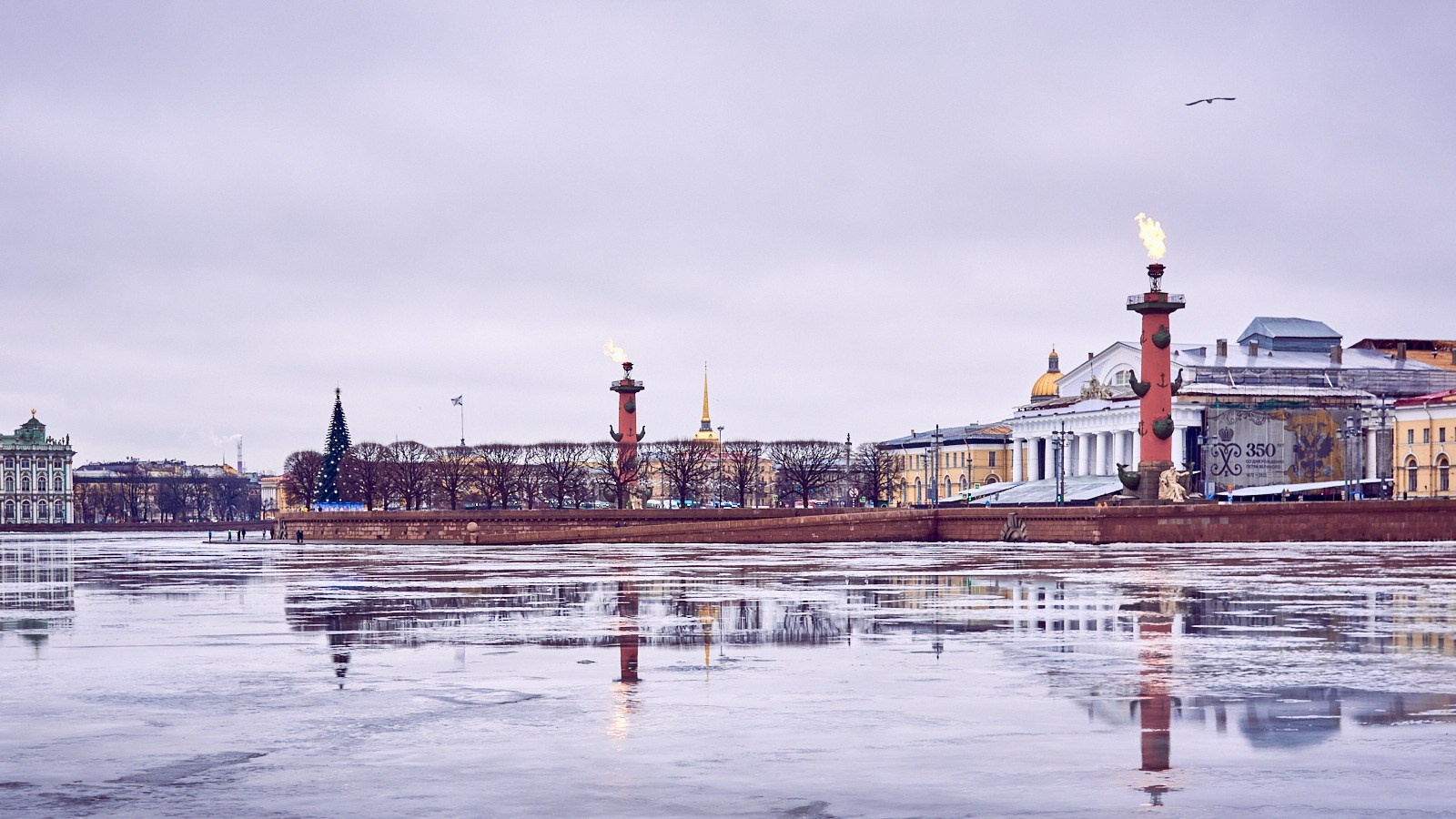 Фотопрогулка на день снятия блокады: фундаменты, чайки, Новый год и др. НЕЙРО-АРТы Воеводова