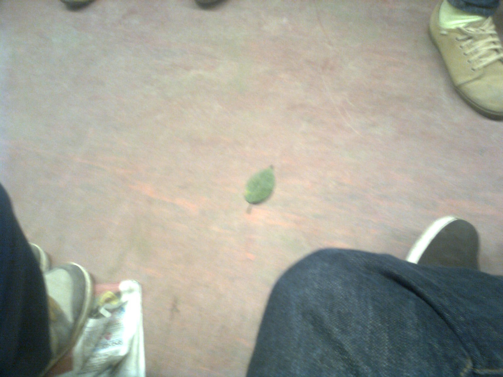 Питерское метро. Художник. Фотограф