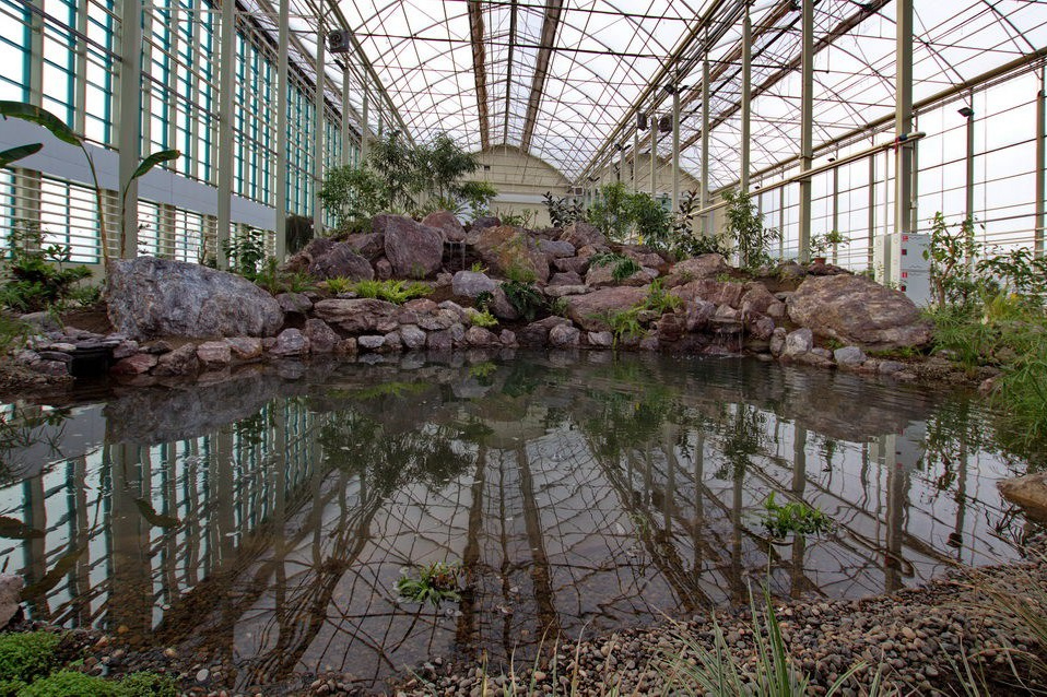 Где фотографироваться если идет дождь. Фото Радости. Свадебный и семейный фотограф в Москве Юлия Самойлова